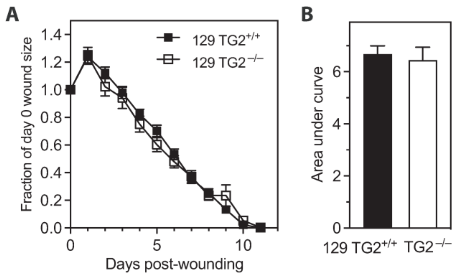Ijms 24 11475 g002 Ijms 24 11475 g002