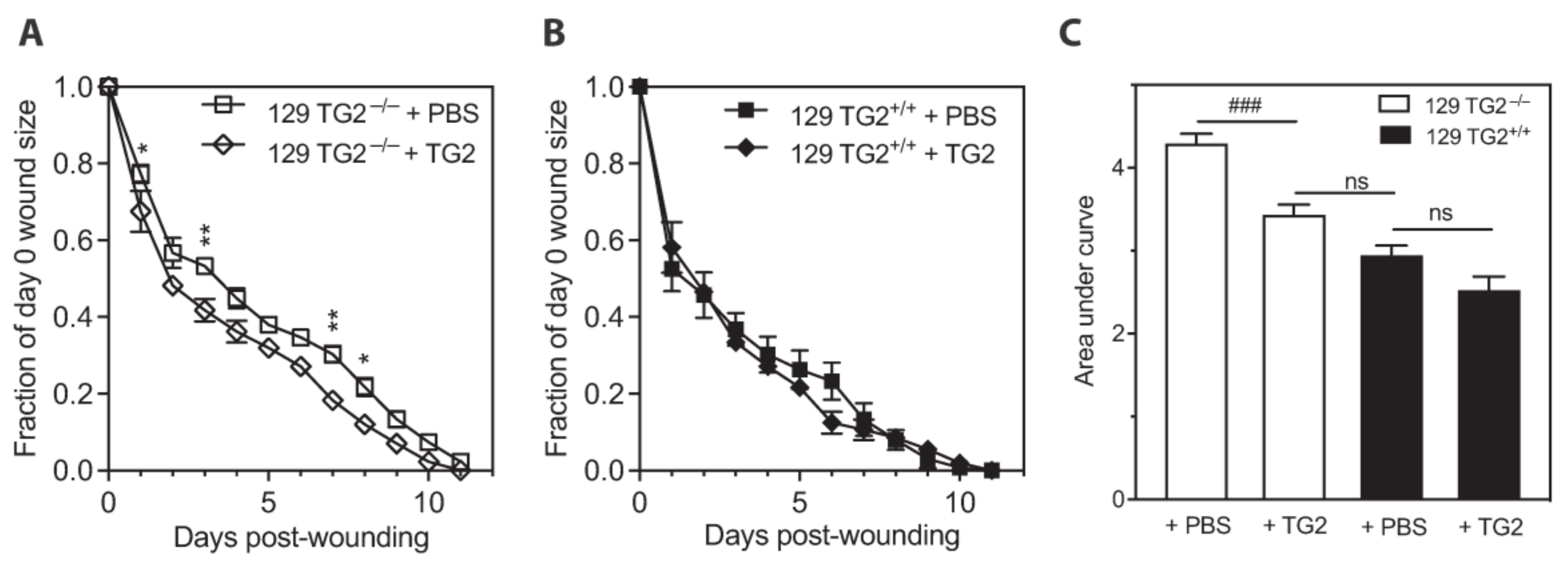 Ijms 24 11475 g005 Ijms 24 11475 g005