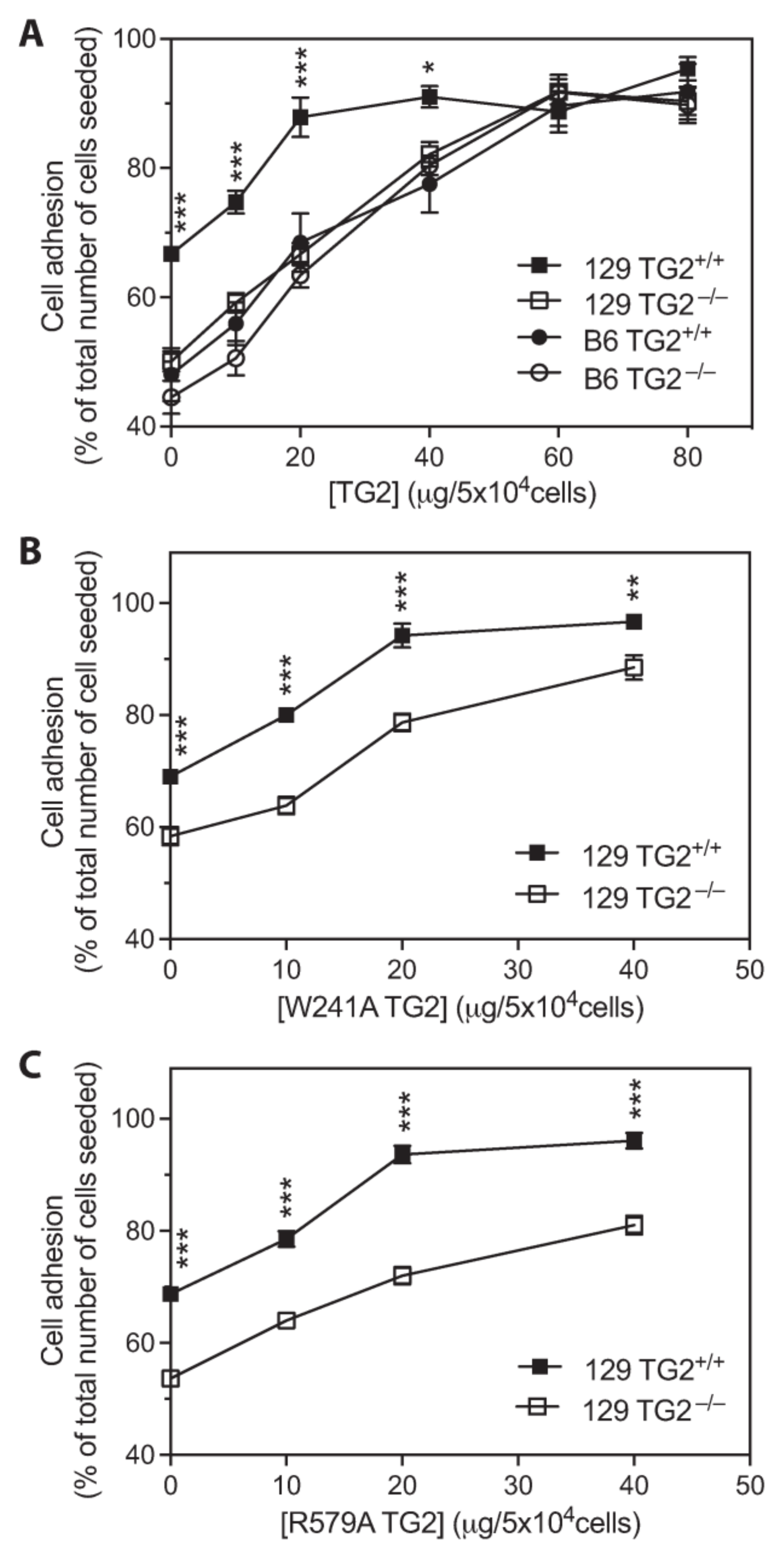 Ijms 24 11475 g007 Ijms 24 11475 g007