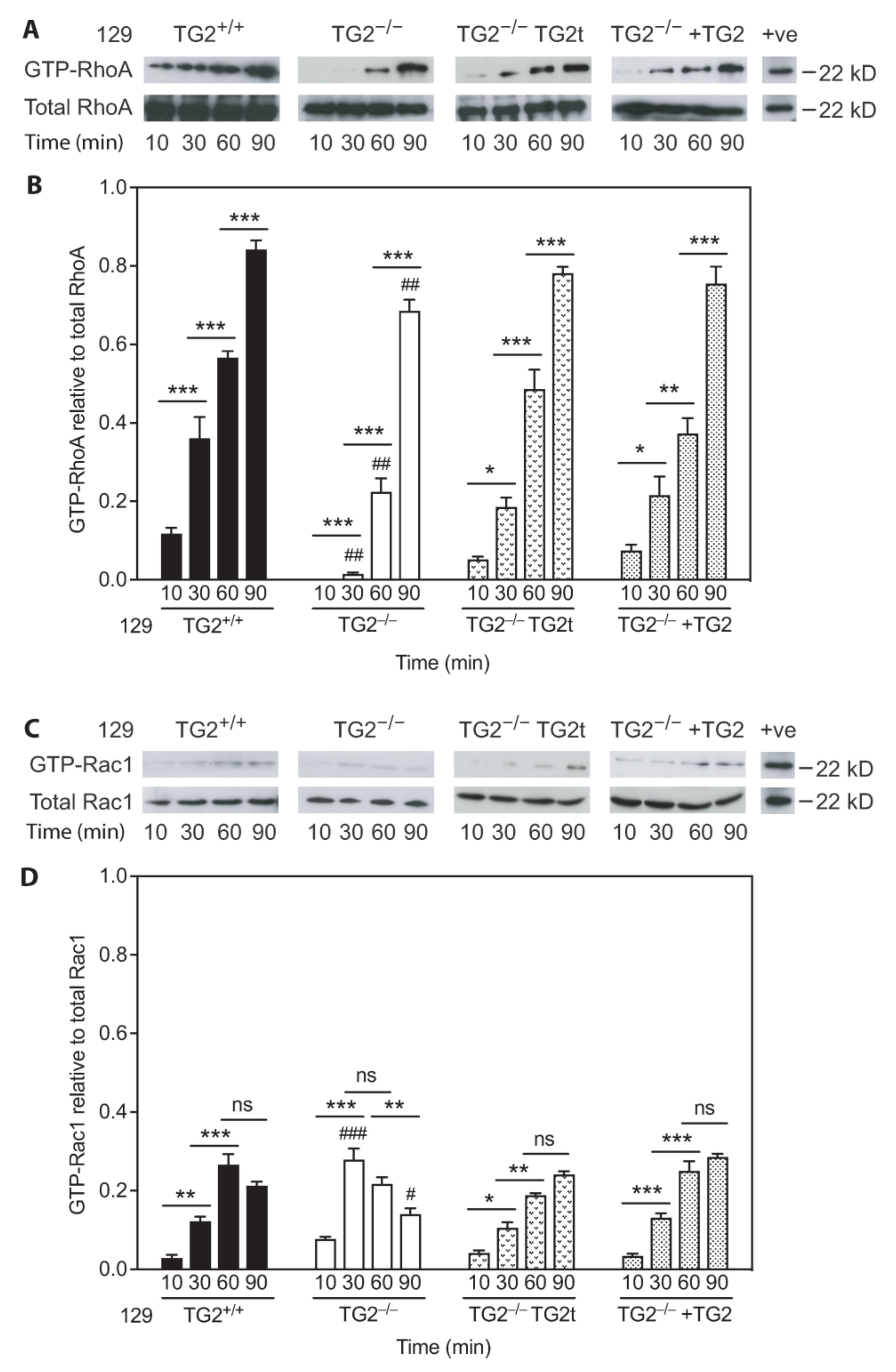 Ijms 24 11475 g010 Ijms 24 11475 g010