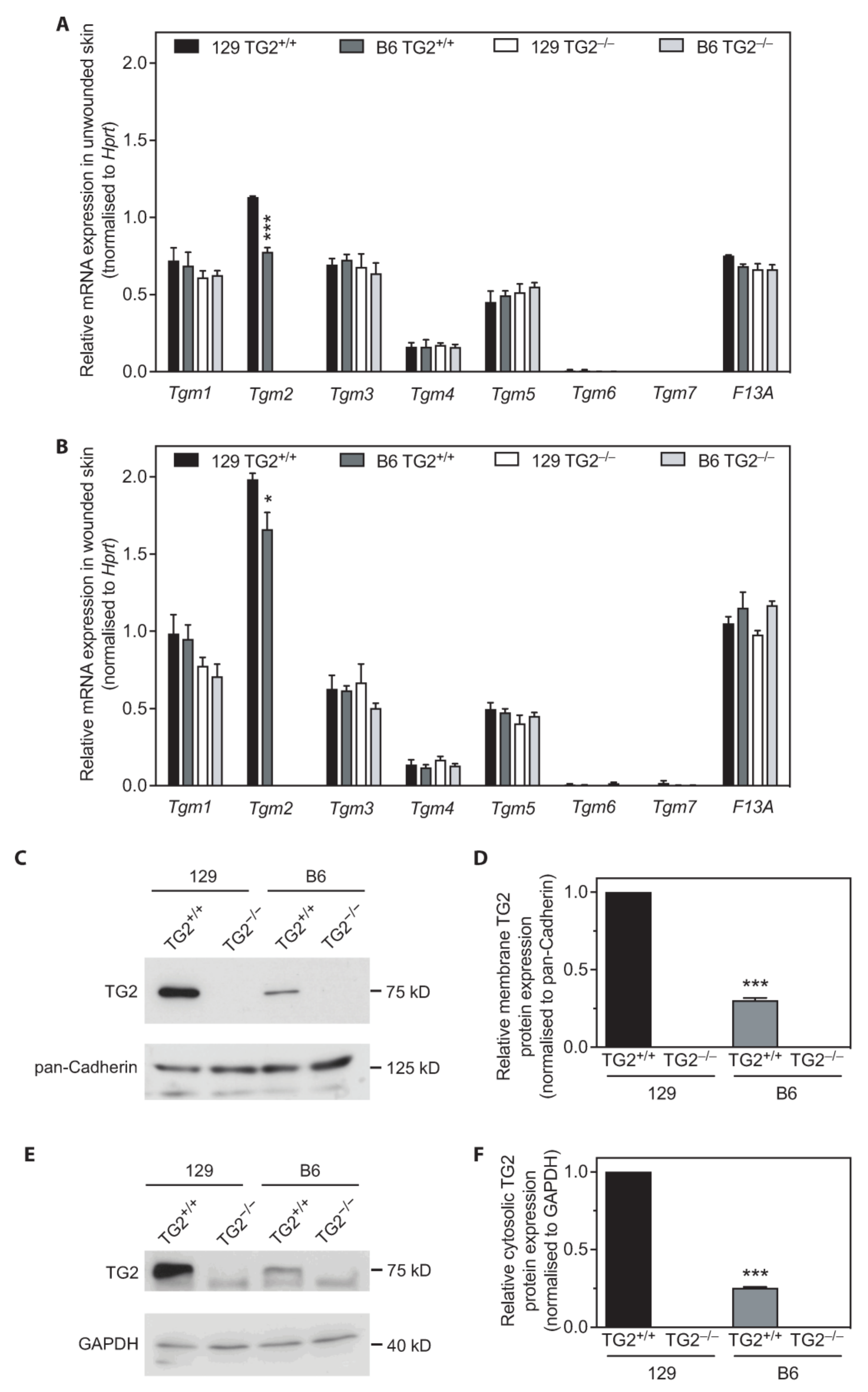 Ijms 24 11475 g012 Ijms 24 11475 g012