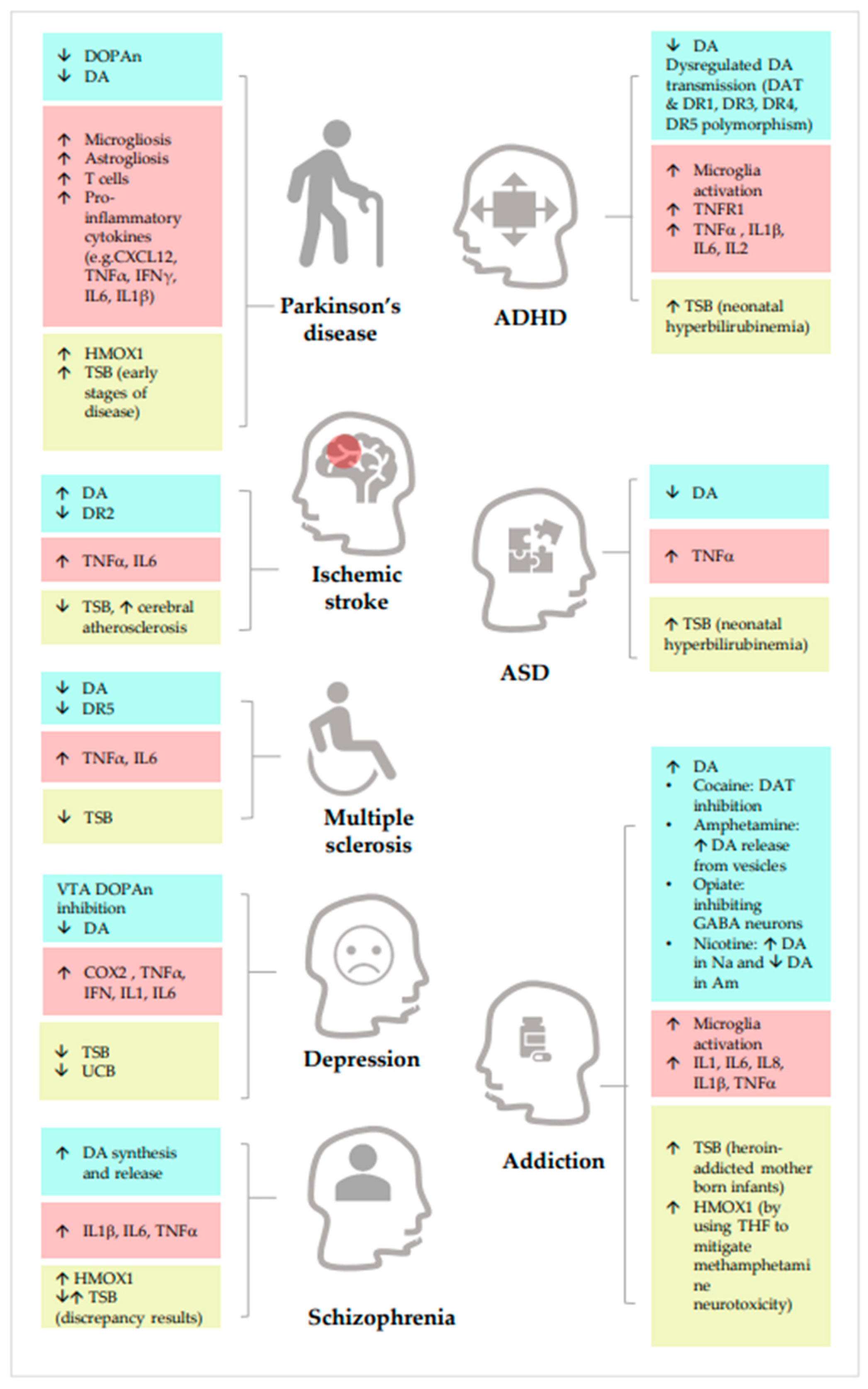 Aiding and Abetting Anhedonia: Impact of Inflammation on the Brain and  Pharmacological Implications