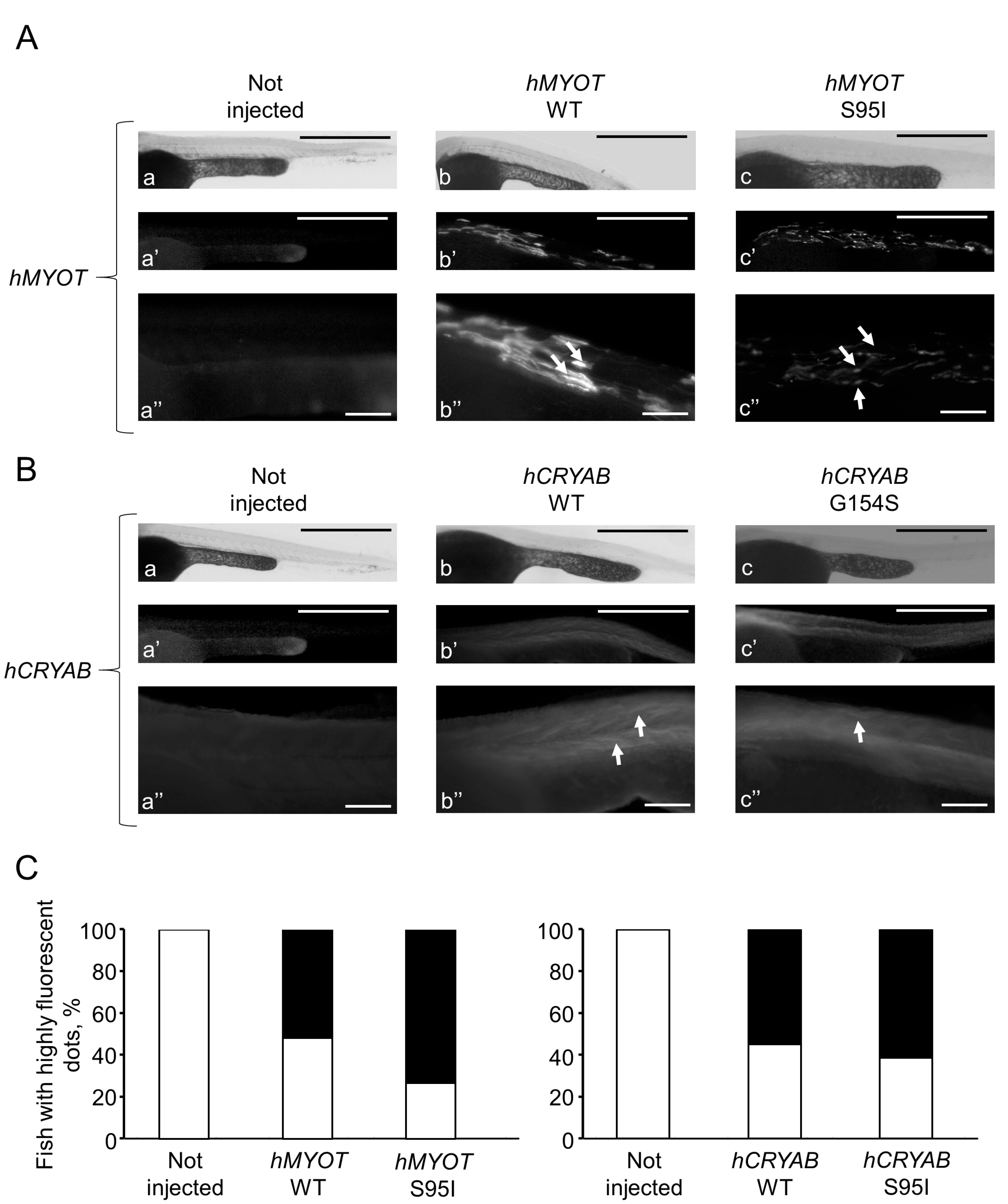 Ijms 24 11483 g008 Ijms 24 11483 g008