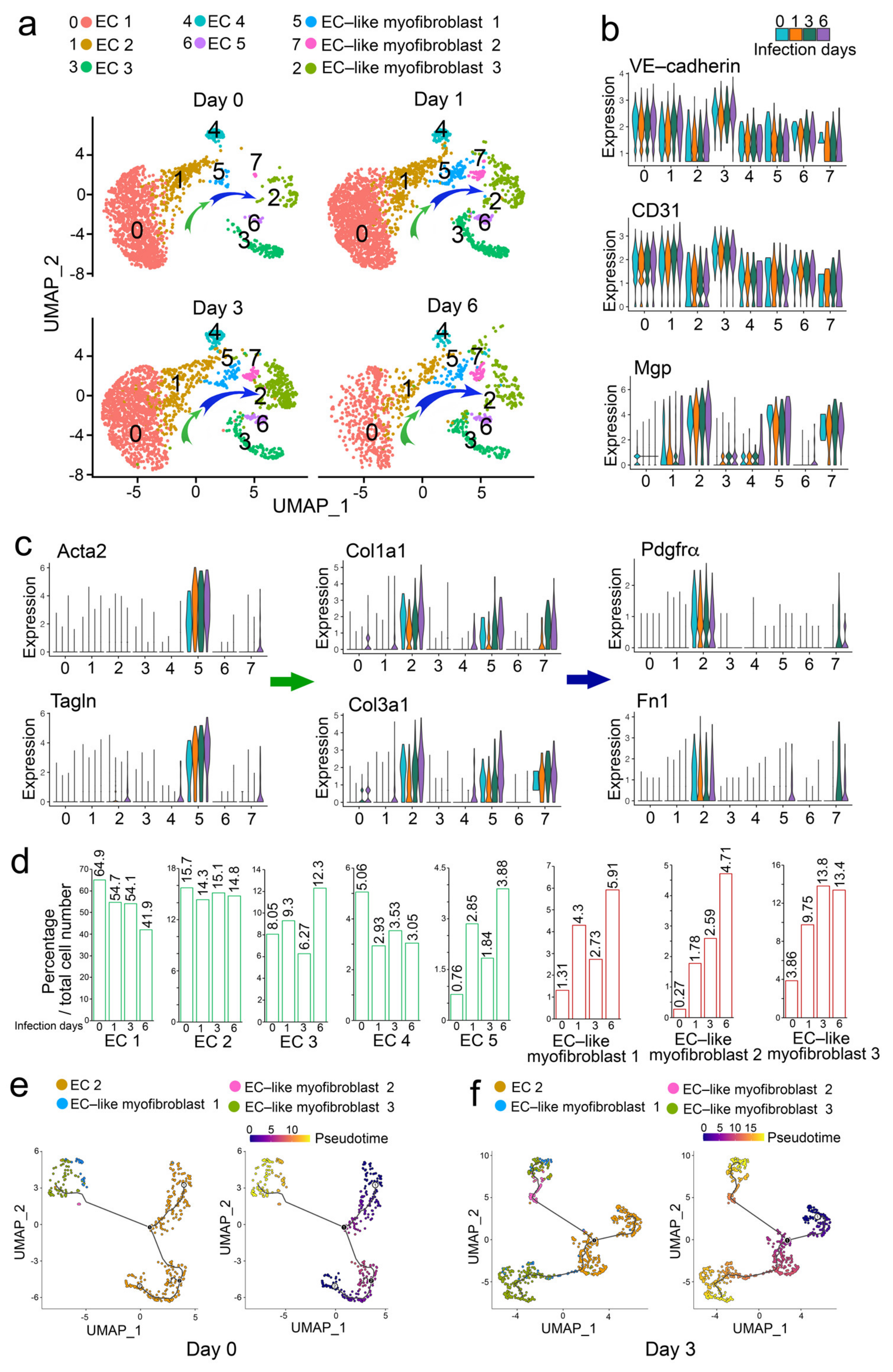 Ijms 24 11500 g002 Ijms 24 11500 g002