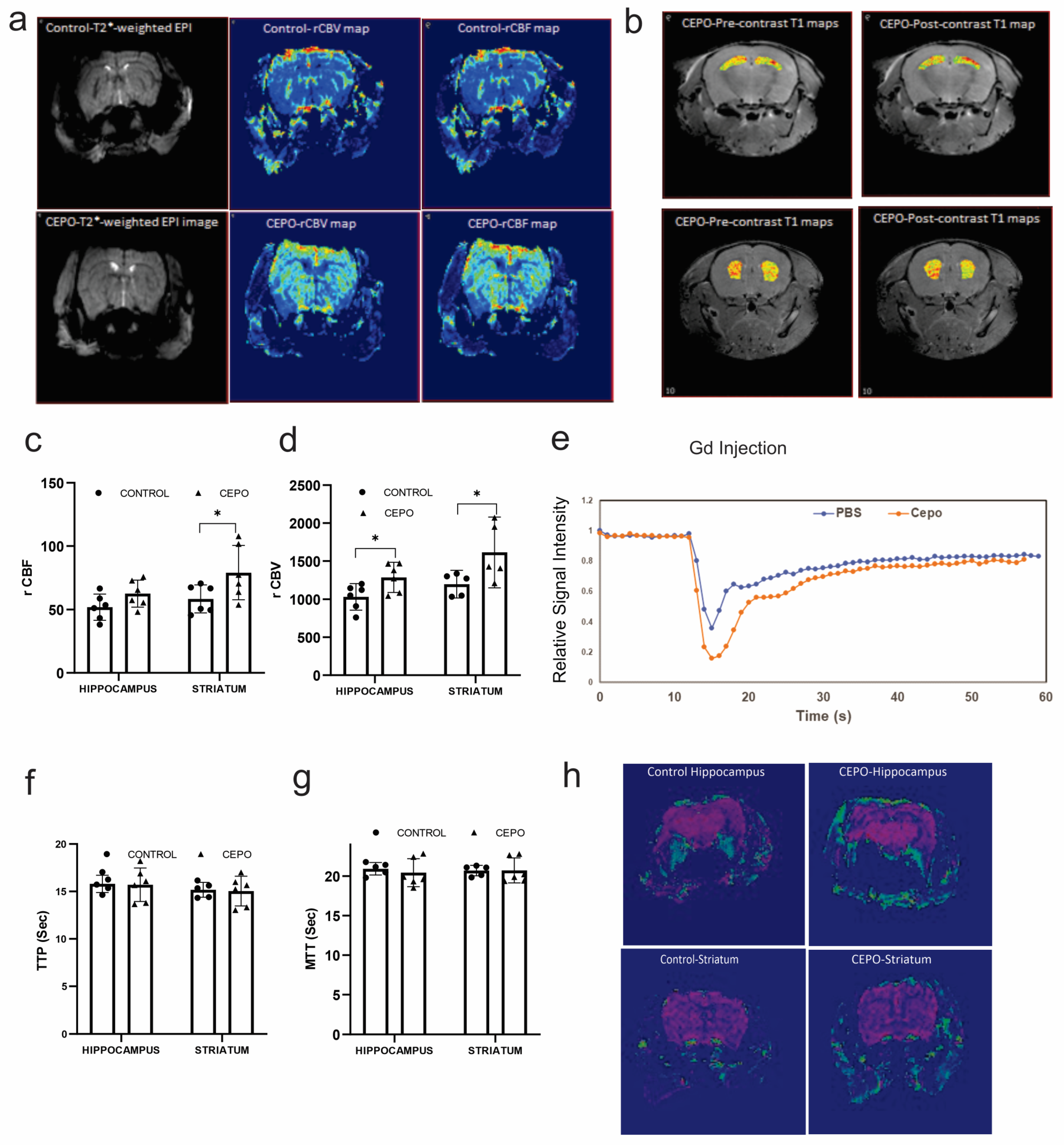 Ijms 24 11507 g001 Ijms 24 11507 g001