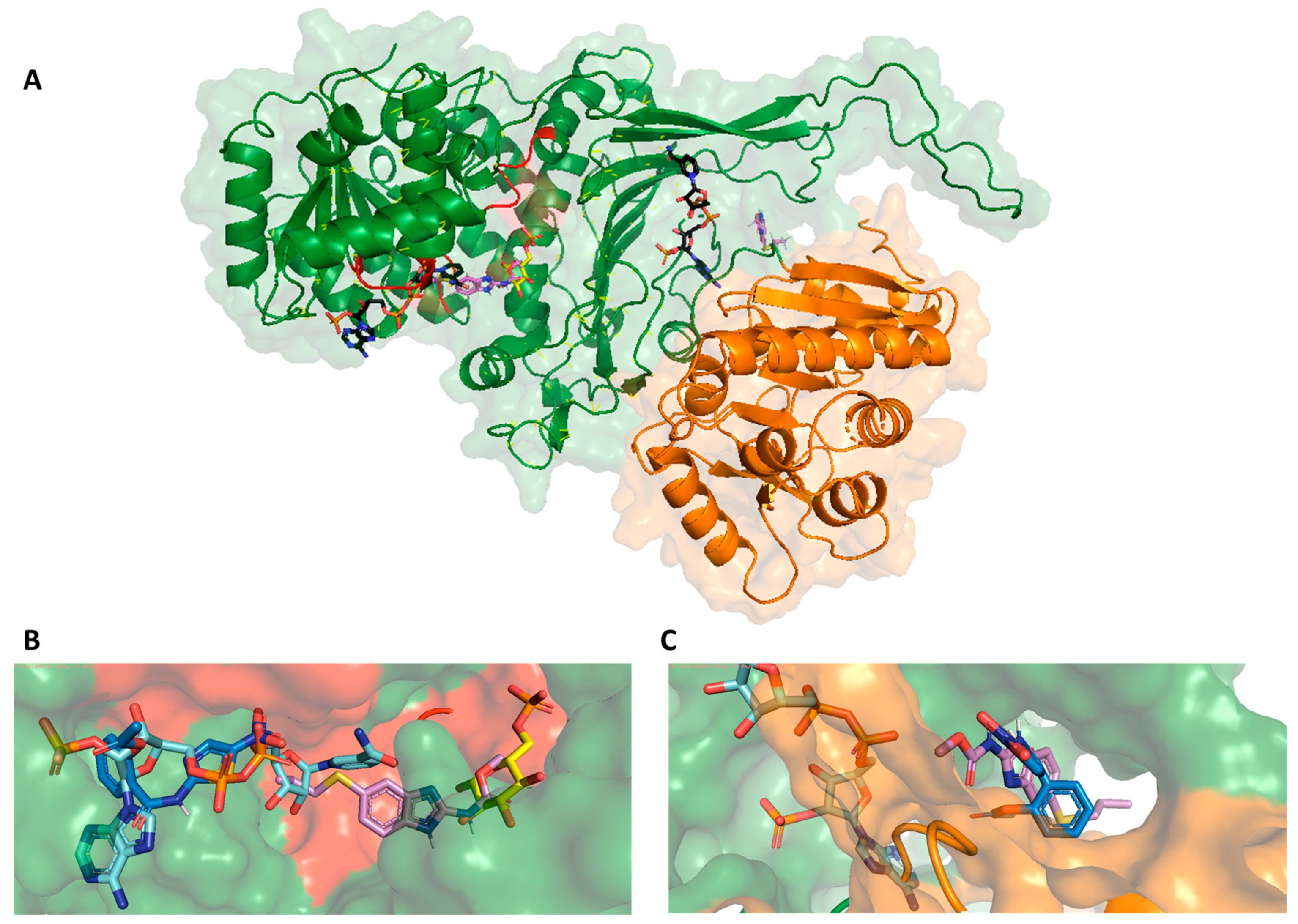 Ijms 24 11516 g005 Ijms 24 11516 g005