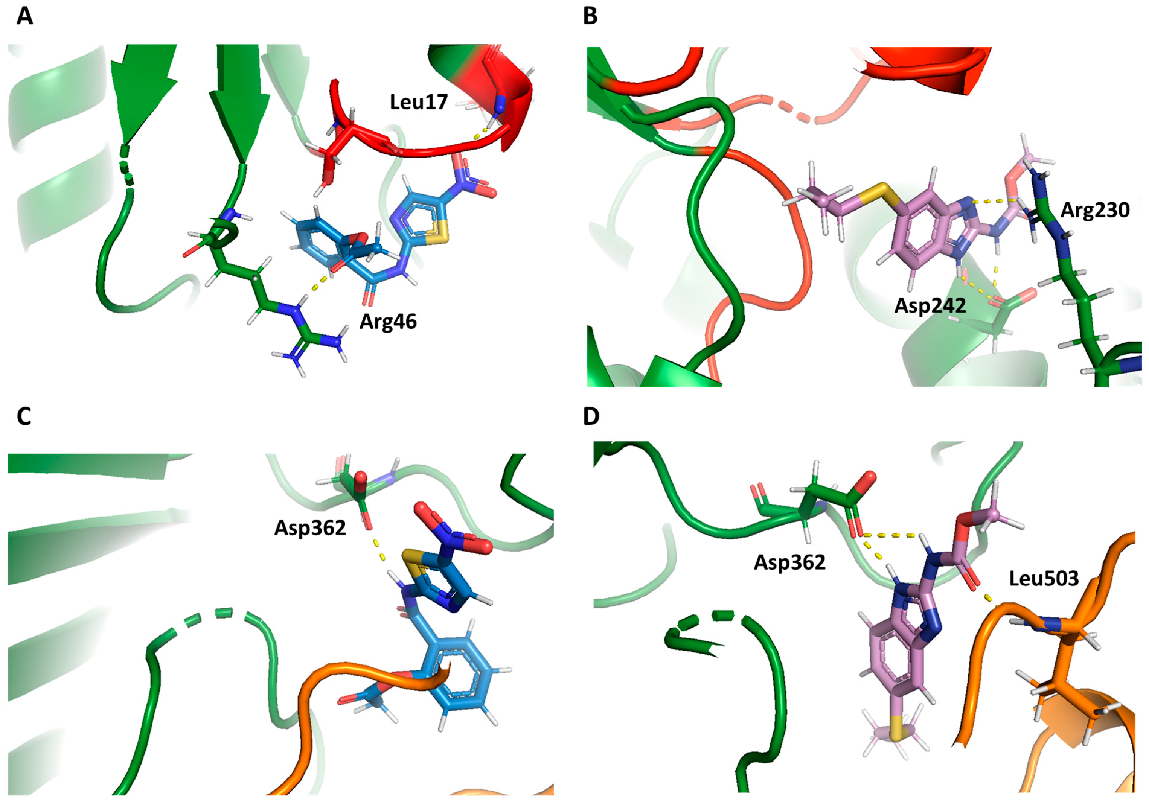 Ijms 24 11516 g006 Ijms 24 11516 g006
