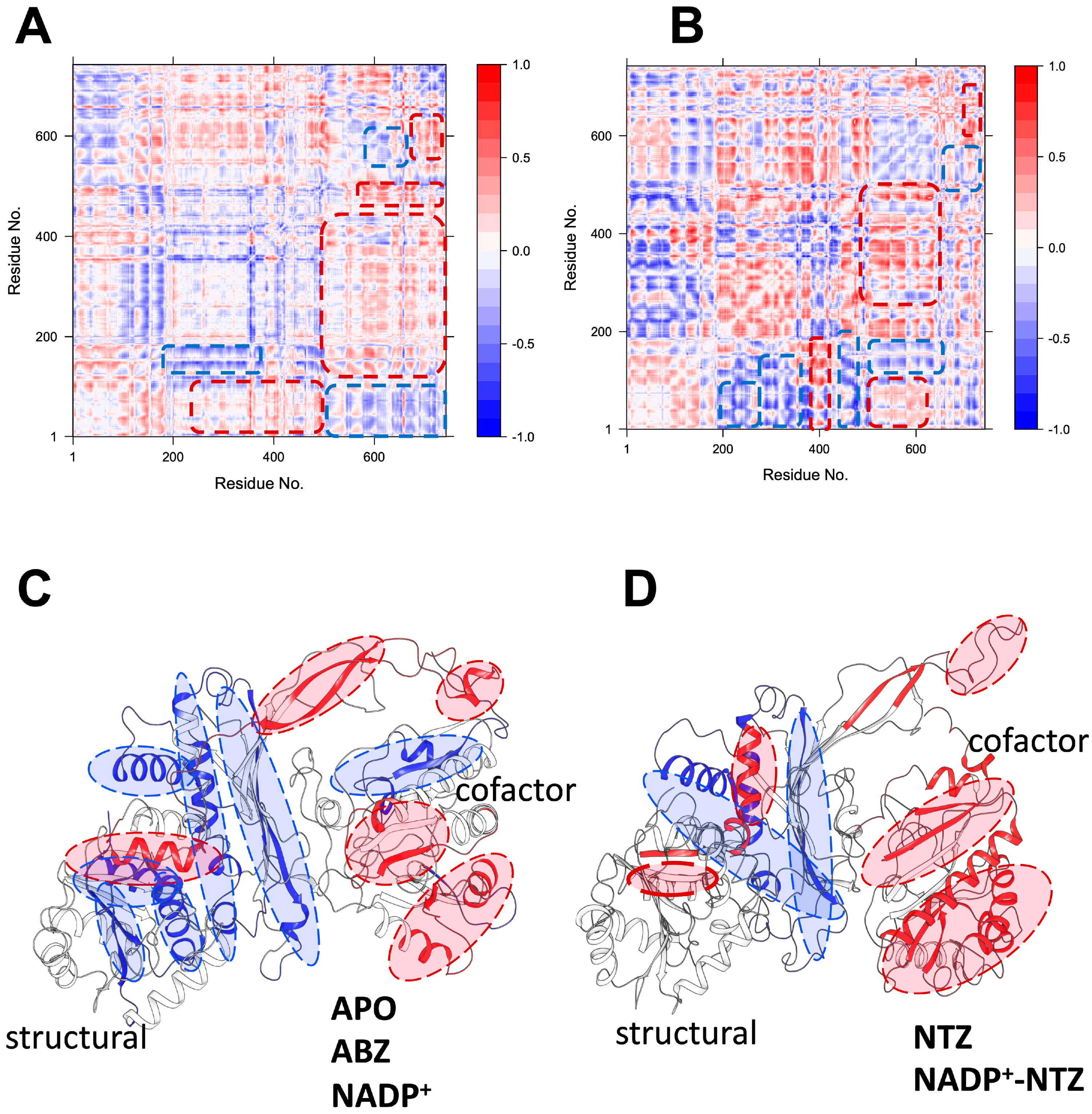 Ijms 24 11516 g008 Ijms 24 11516 g008
