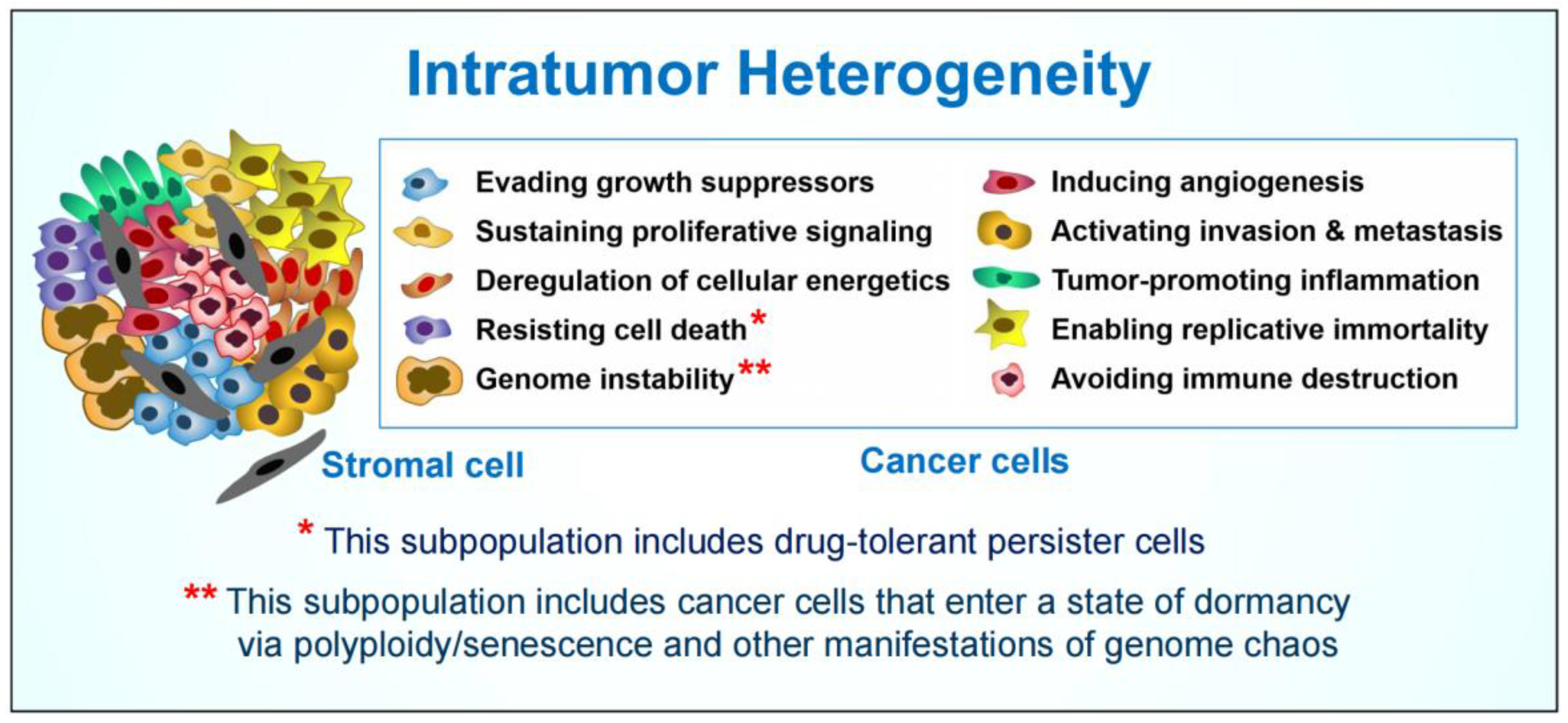 IJMS | Free Full-Text | Intratumor Heterogeneity and Treatment 