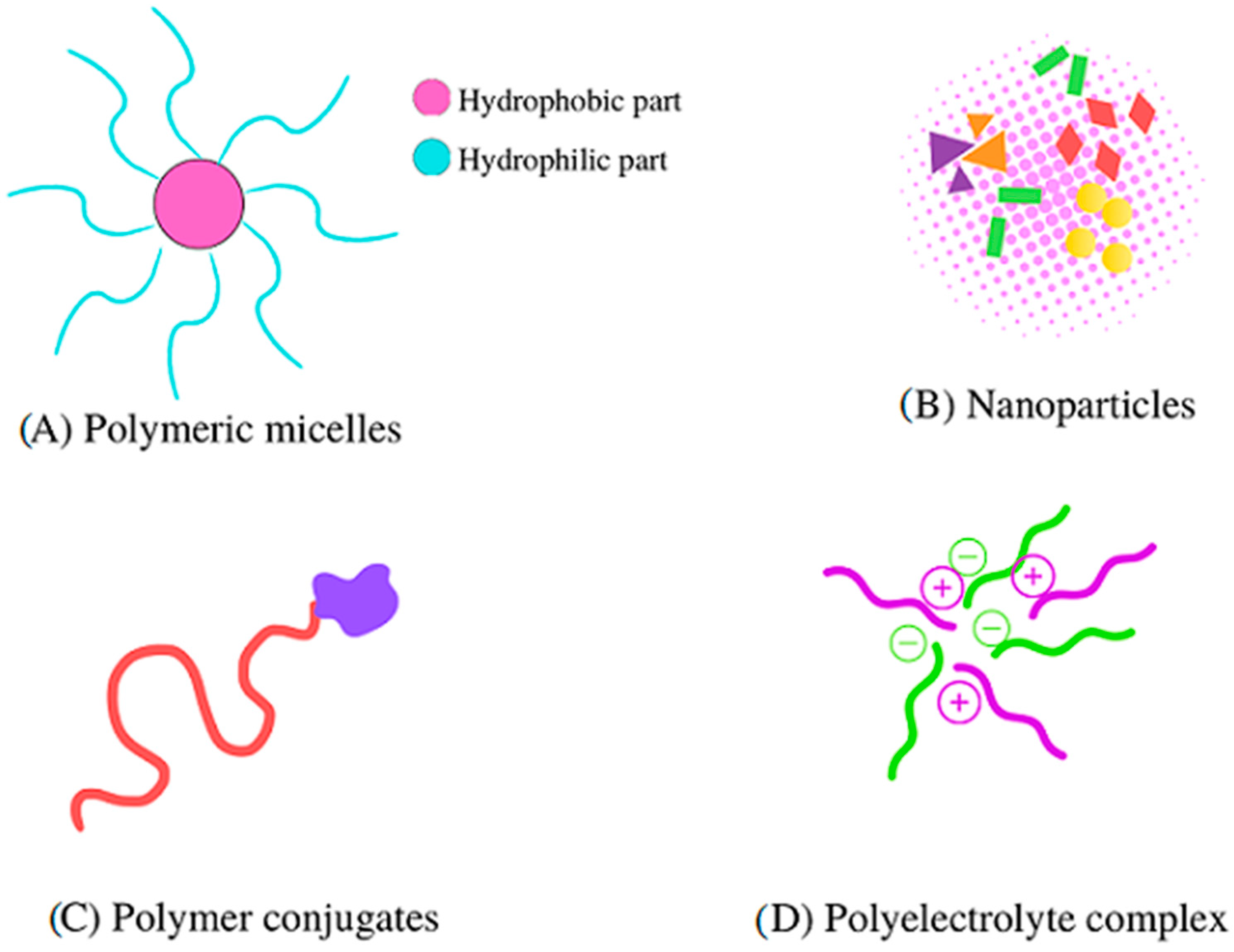 Ijms 24 11535 g001 Ijms 24 11535 g001