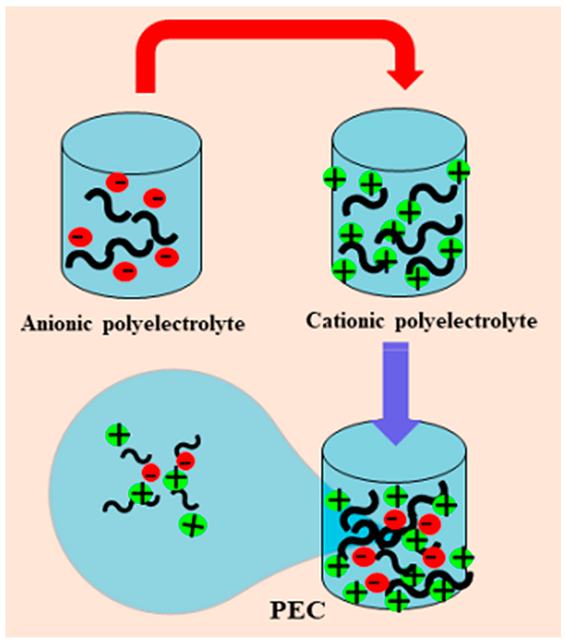 Ijms 24 11535 g002 Ijms 24 11535 g002