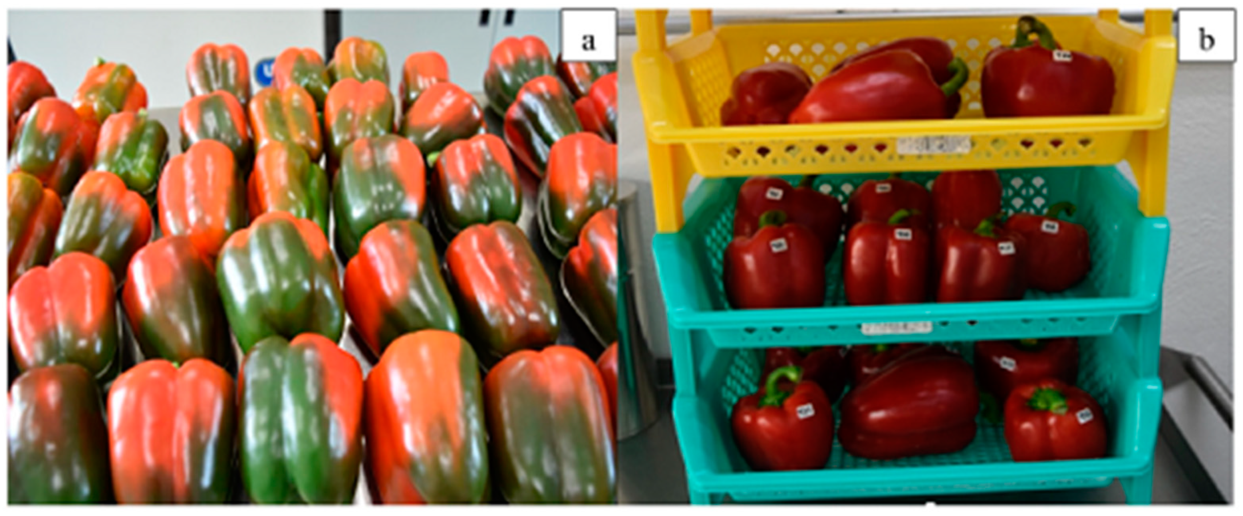 Ijms 24 11535 g004 Ijms 24 11535 g004