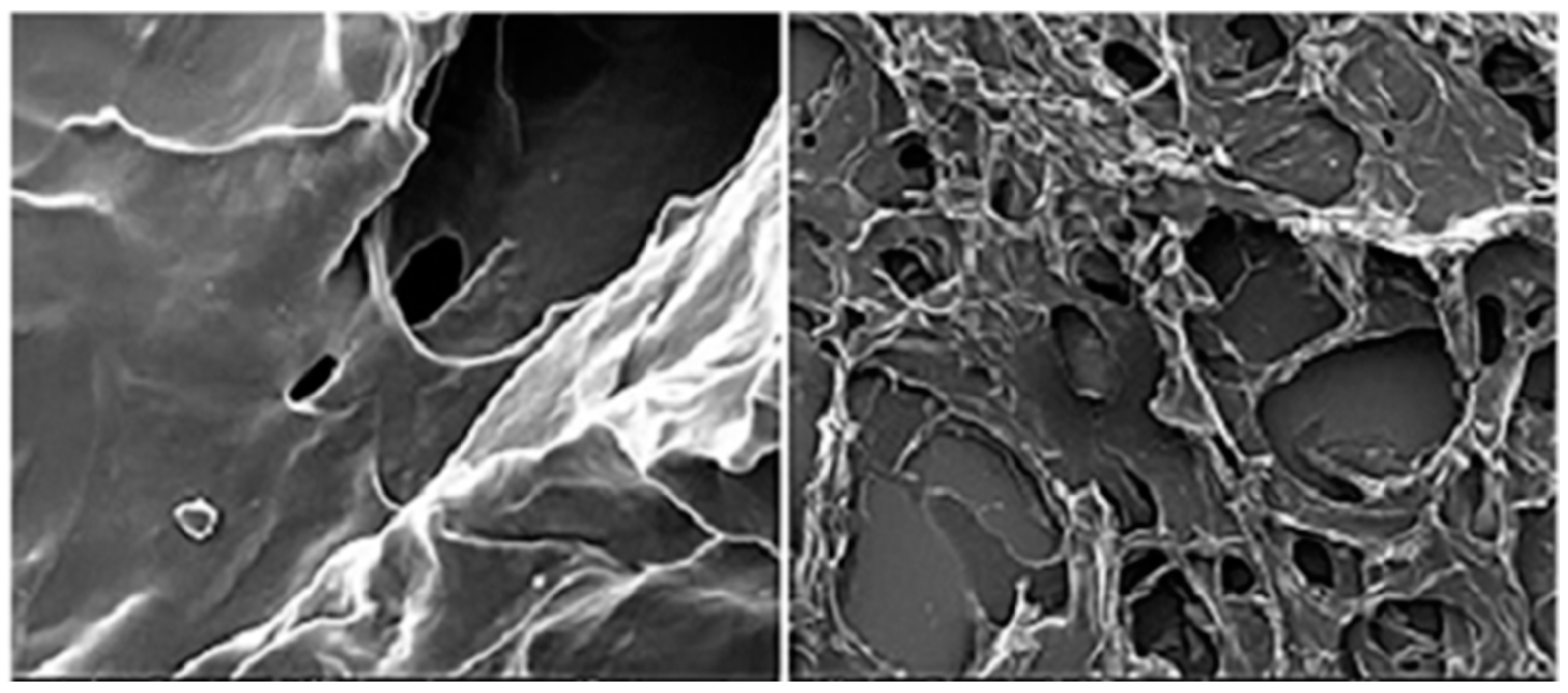 Ijms 24 11535 g005 Ijms 24 11535 g005