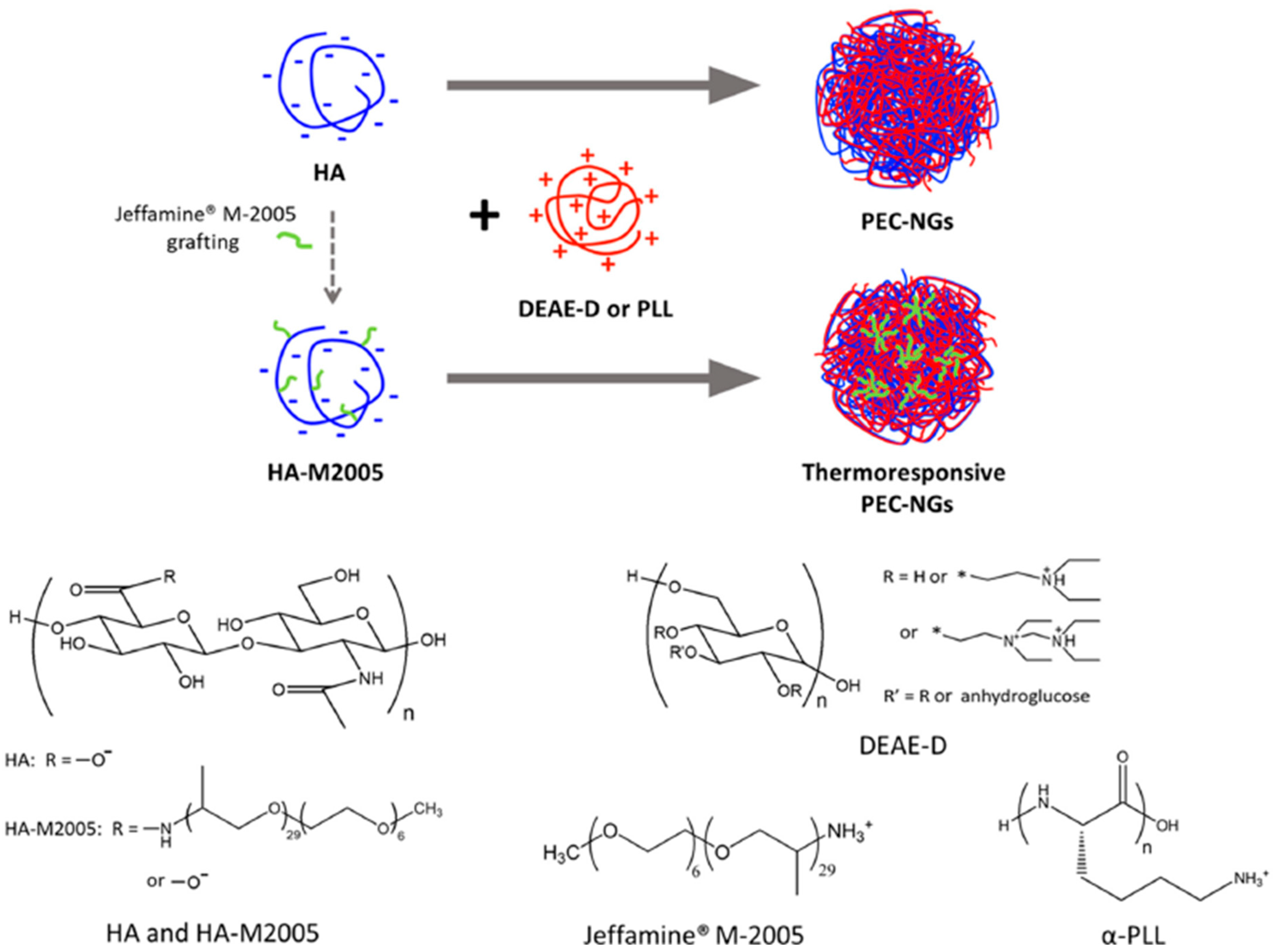 Ijms 24 11535 g006 Ijms 24 11535 g006