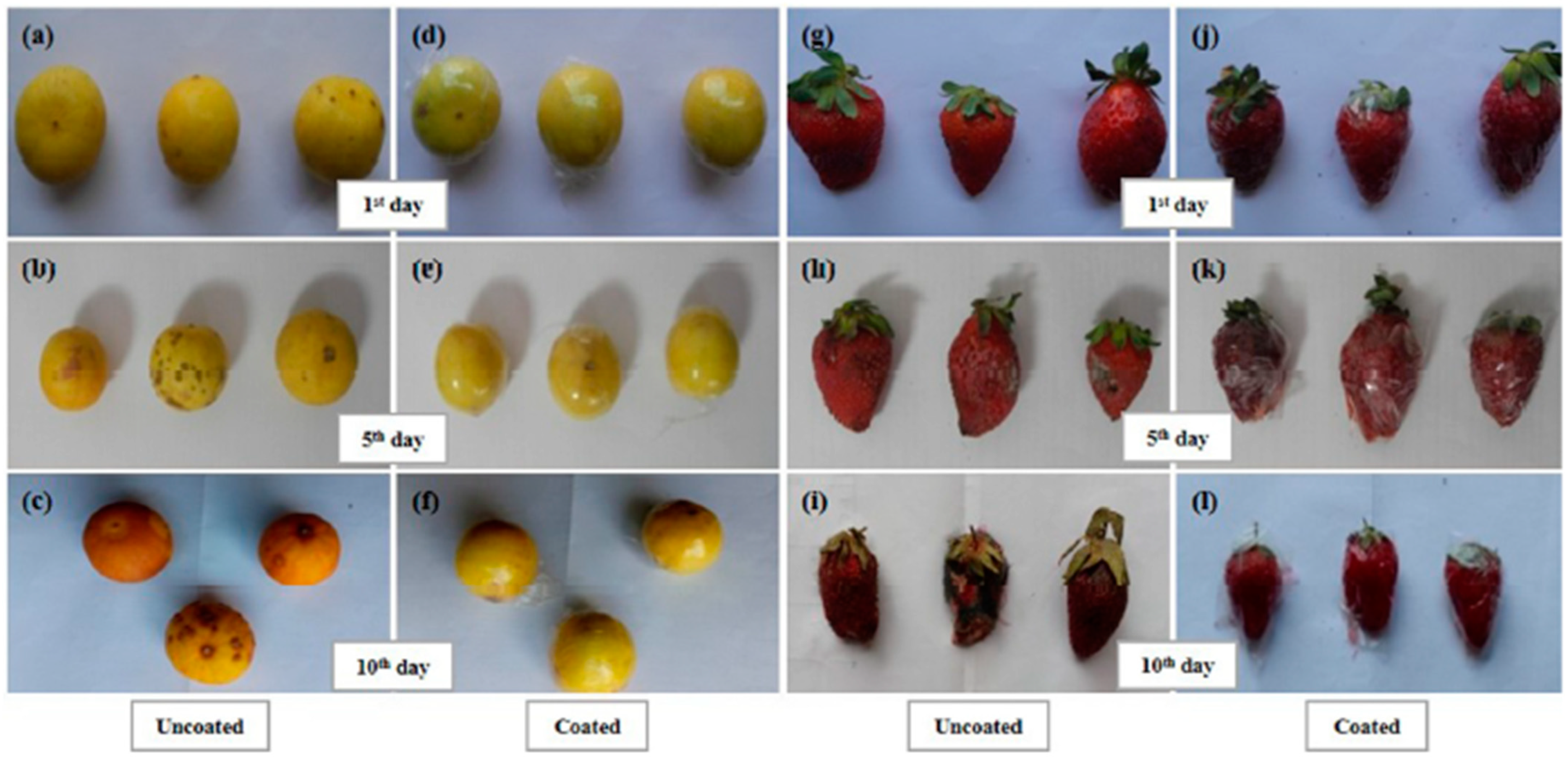 Ijms 24 11535 g007 Ijms 24 11535 g007