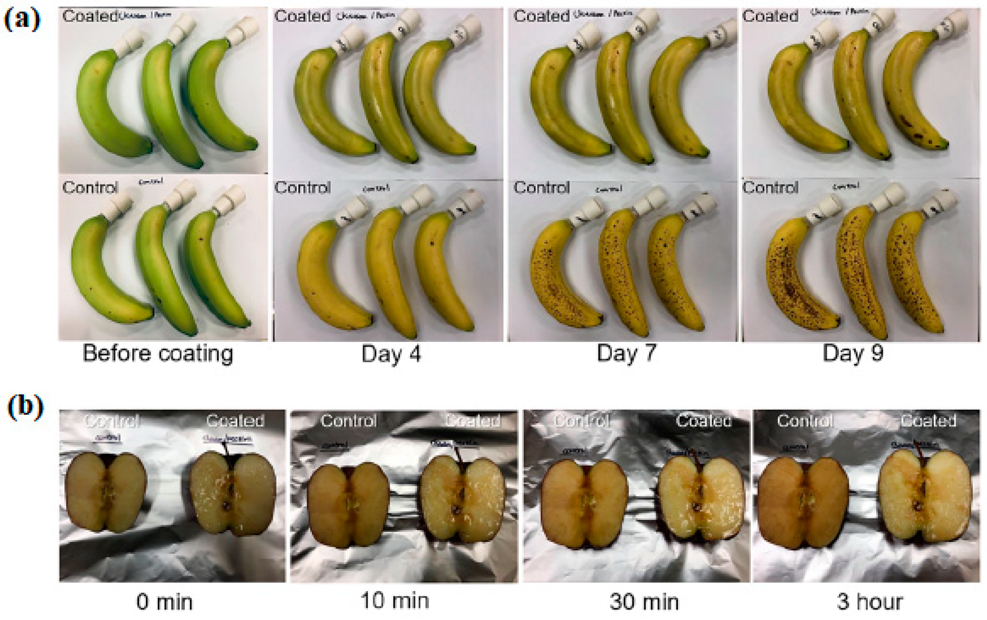 Ijms 24 11535 g015 Ijms 24 11535 g015