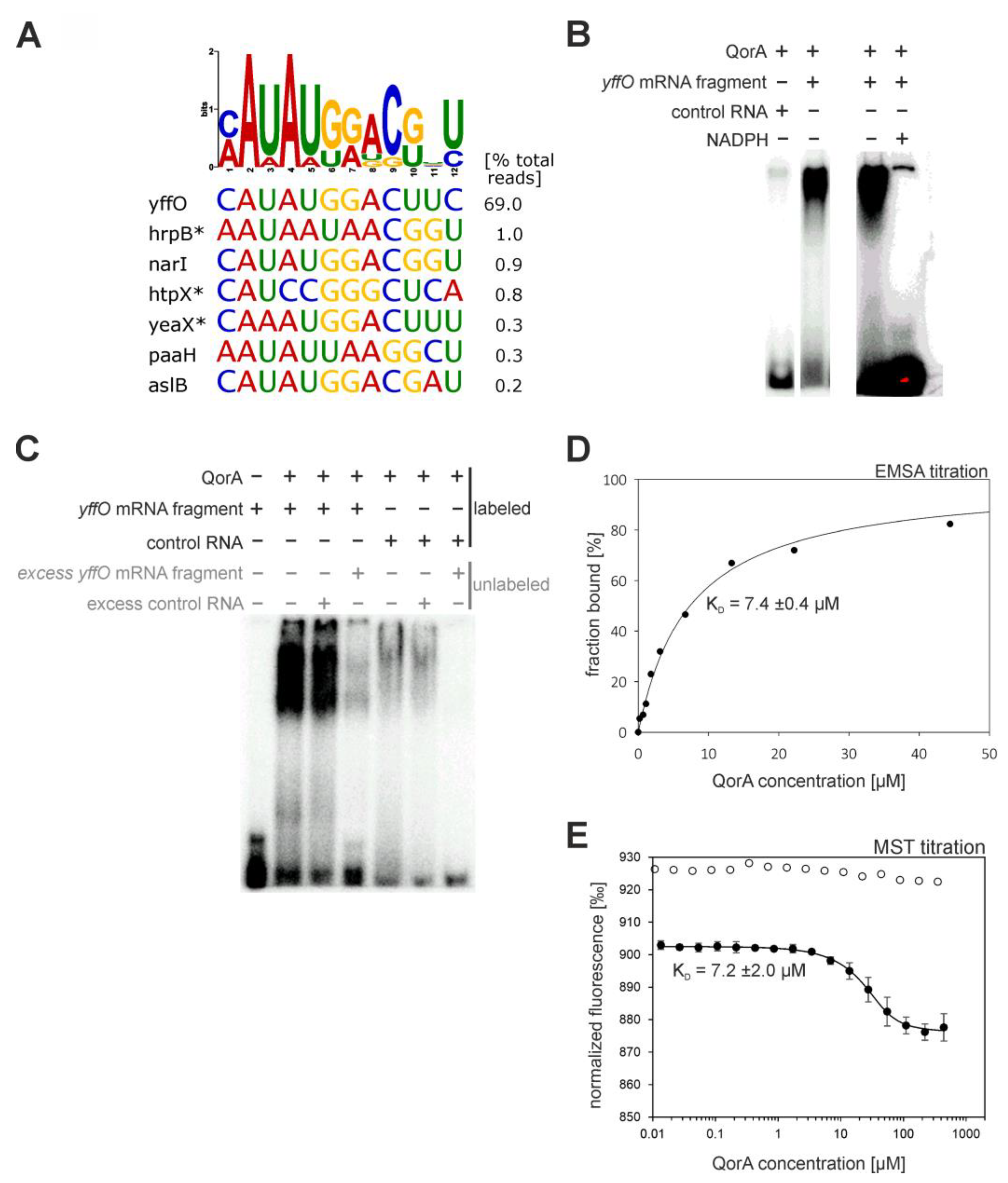Ijms 24 11536 g008 Ijms 24 11536 g008