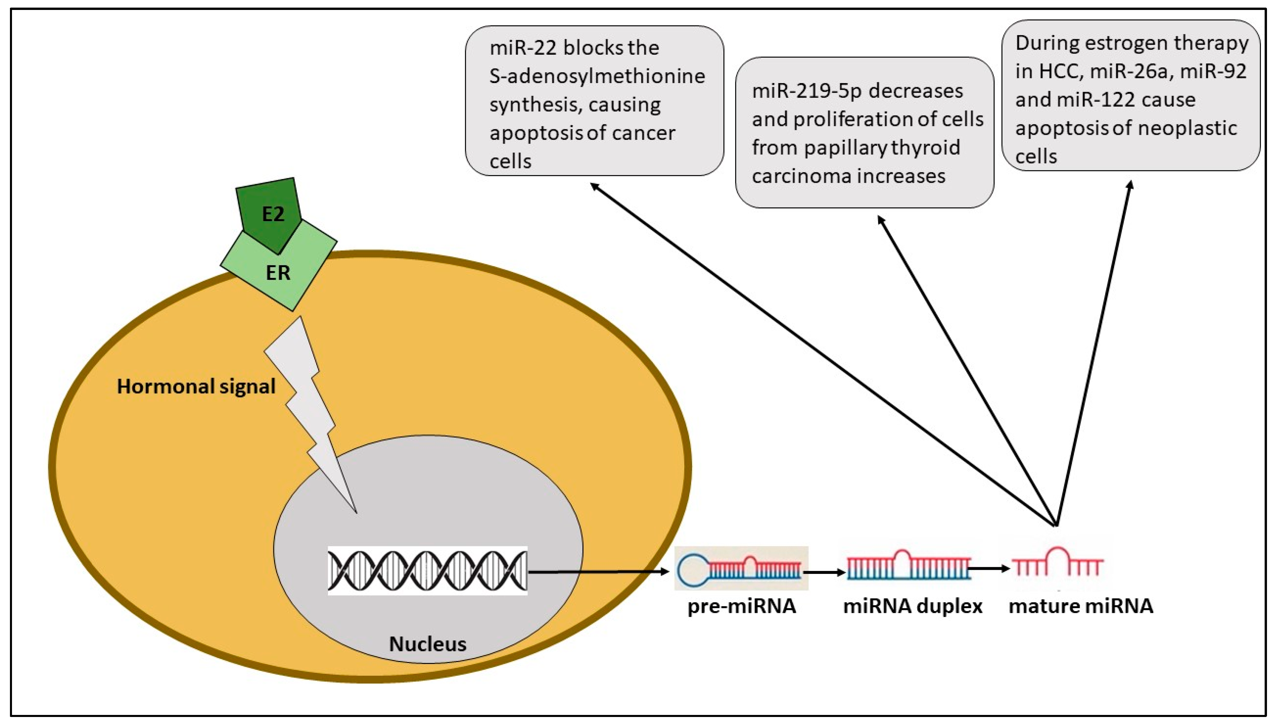 Ijms 24 11544 g002 Ijms 24 11544 g002