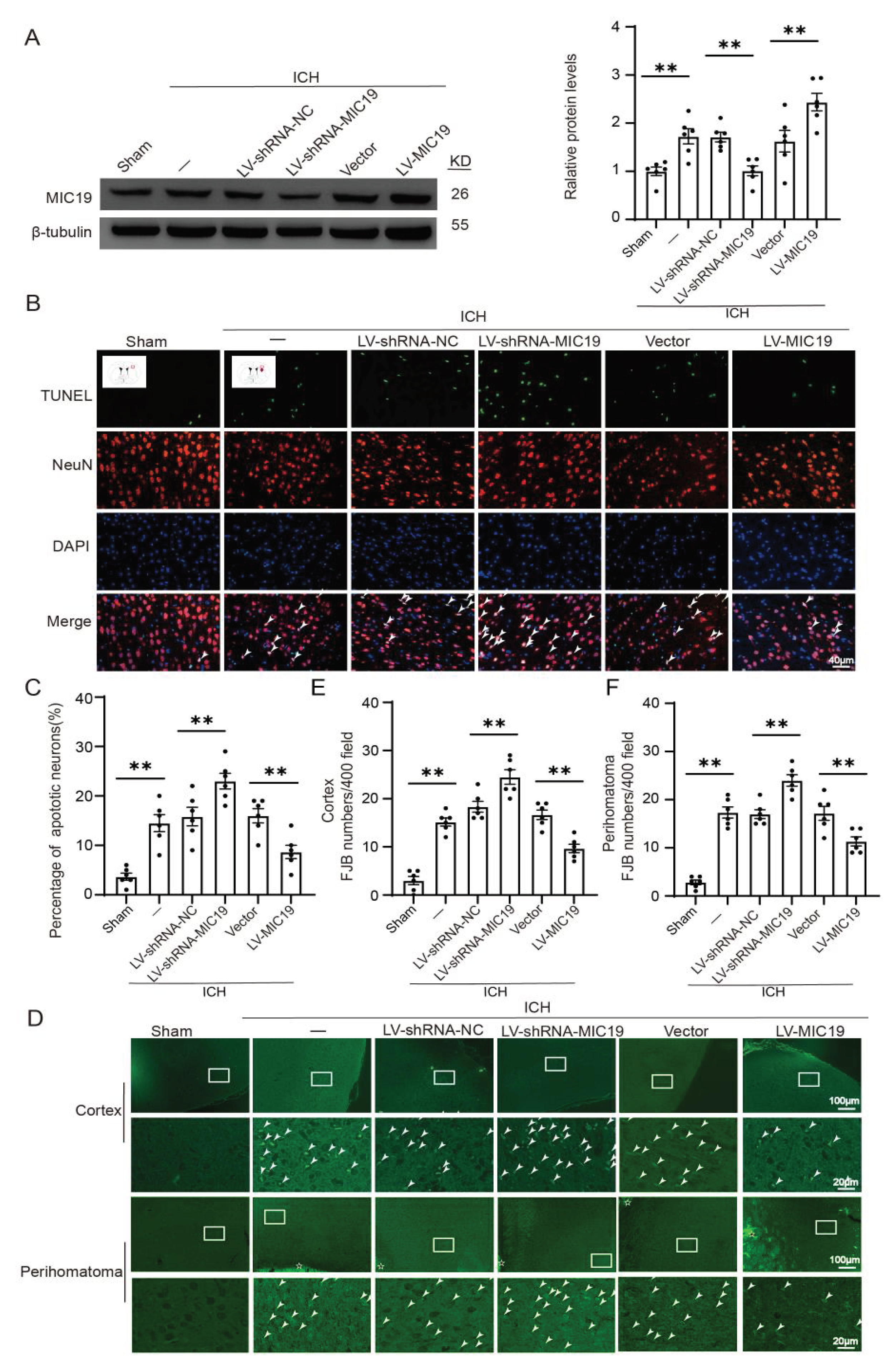 Ijms 24 11553 g002 Ijms 24 11553 g002