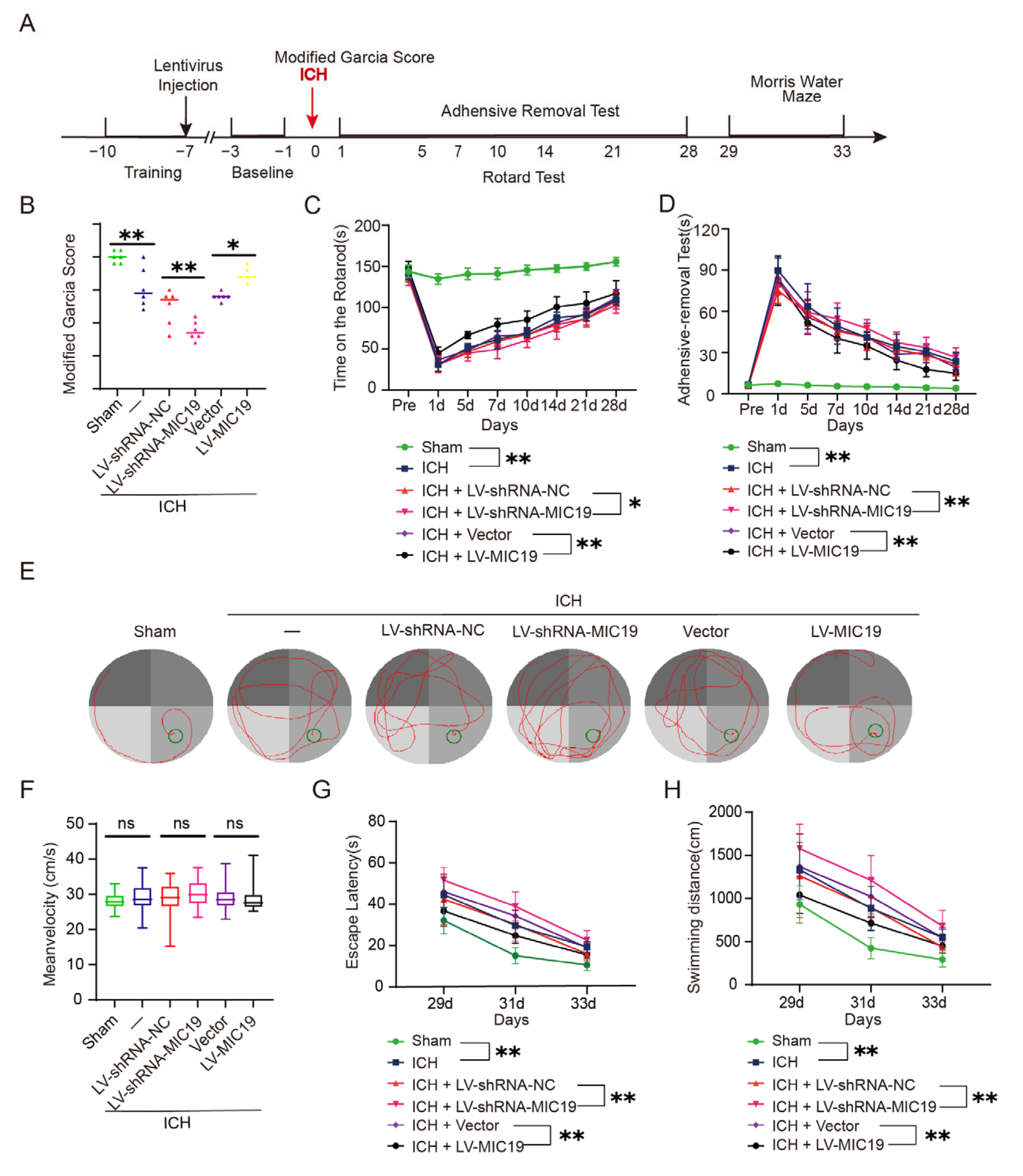 Ijms 24 11553 g004 Ijms 24 11553 g004