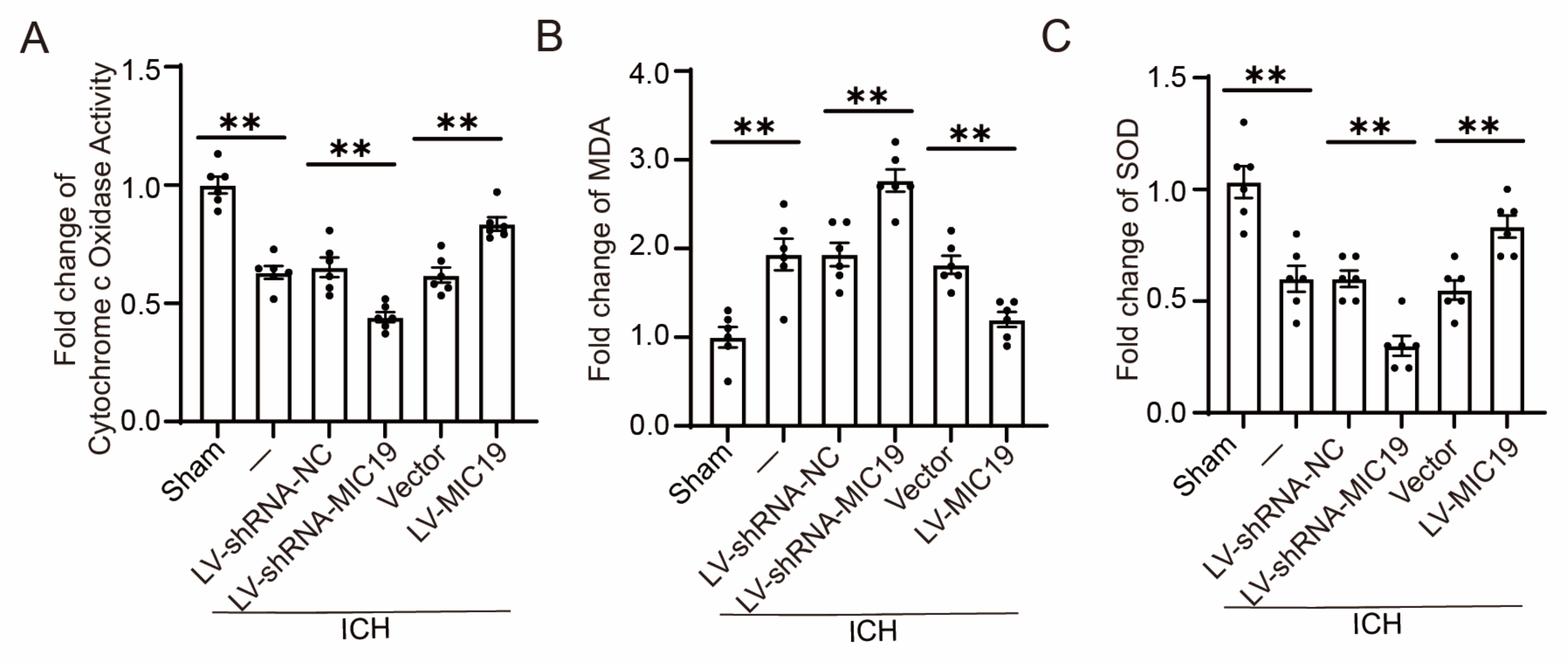 Ijms 24 11553 g005 Ijms 24 11553 g005