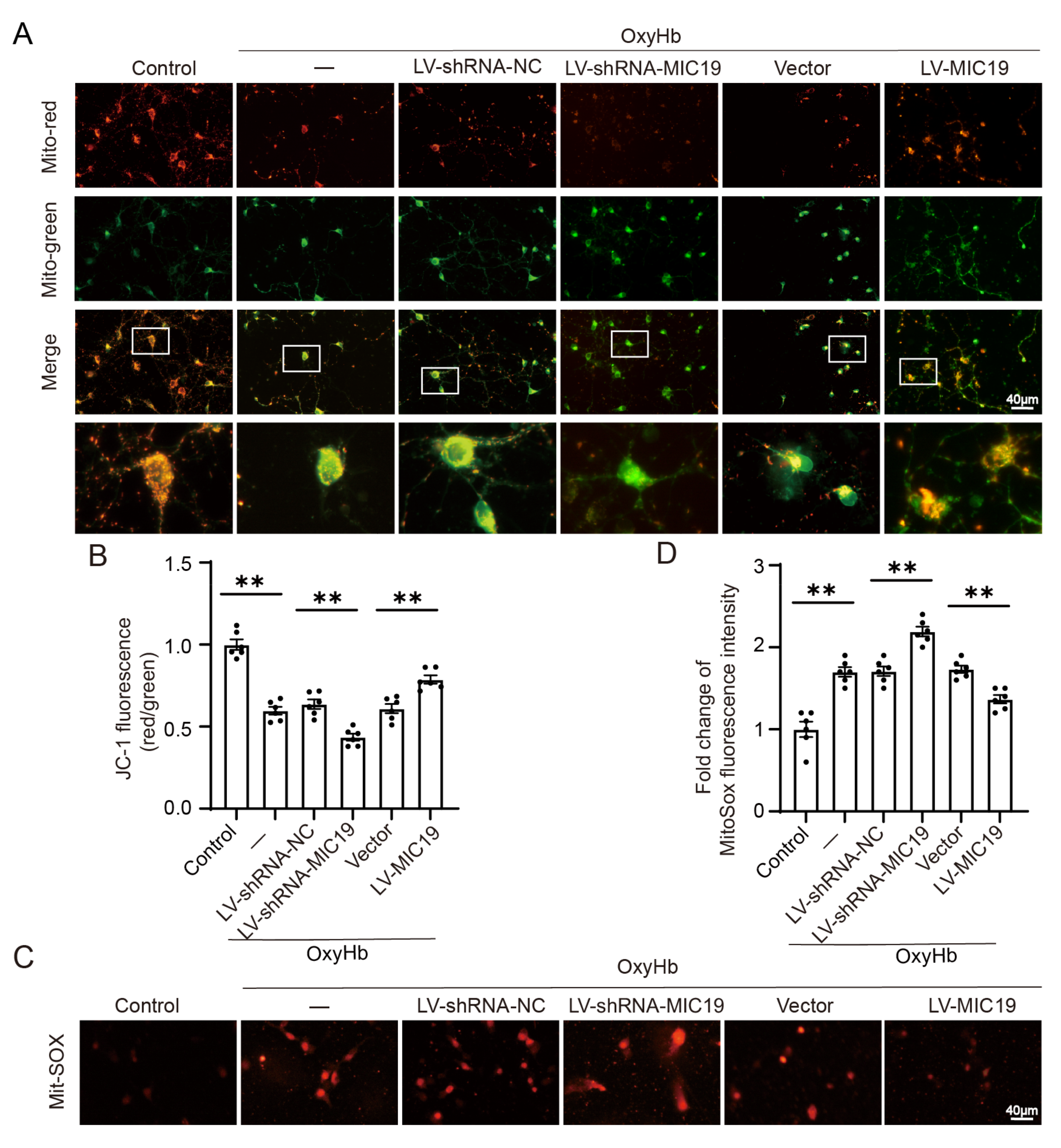 Ijms 24 11553 g007 Ijms 24 11553 g007