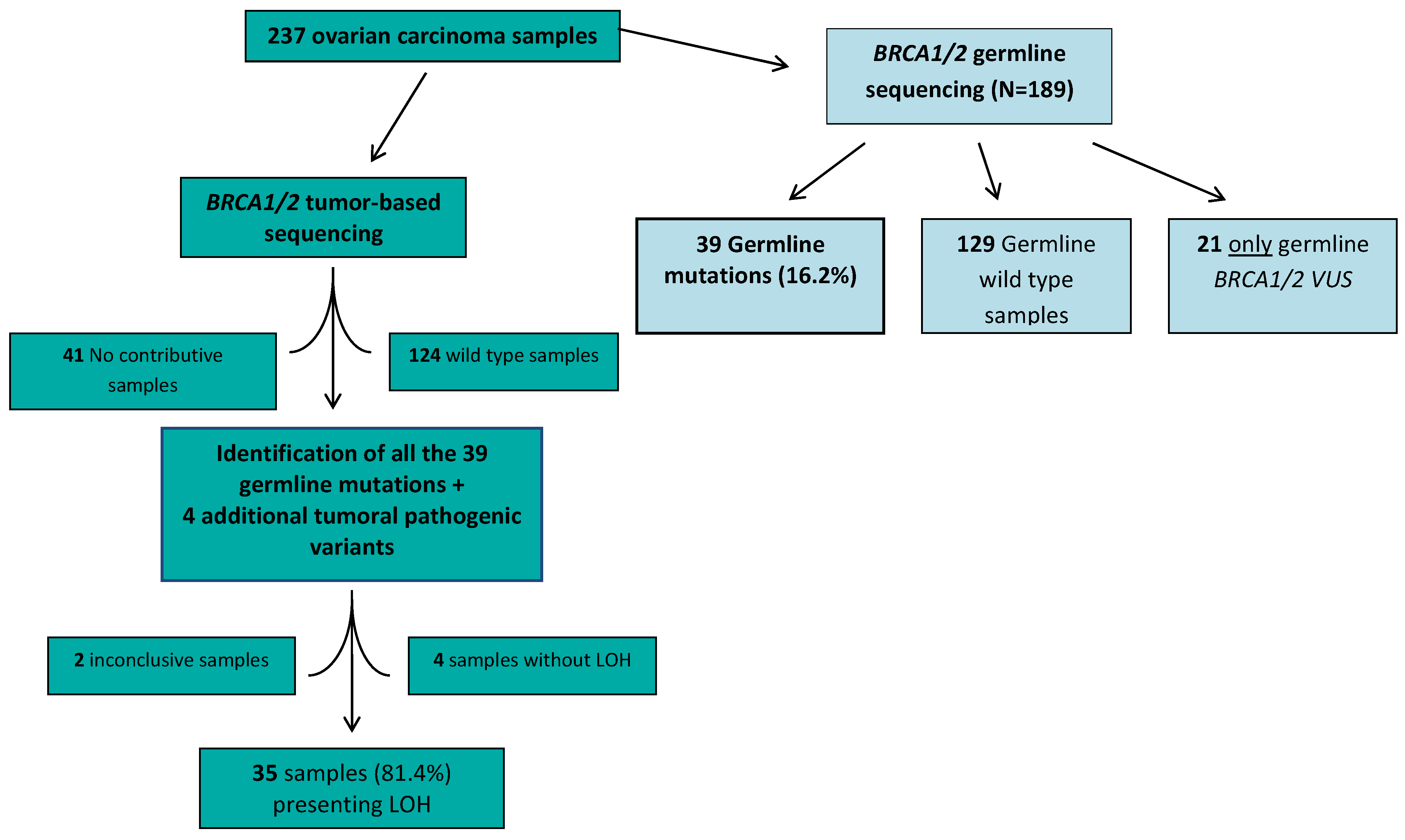 Ijms 24 11570 g001 Ijms 24 11570 g001