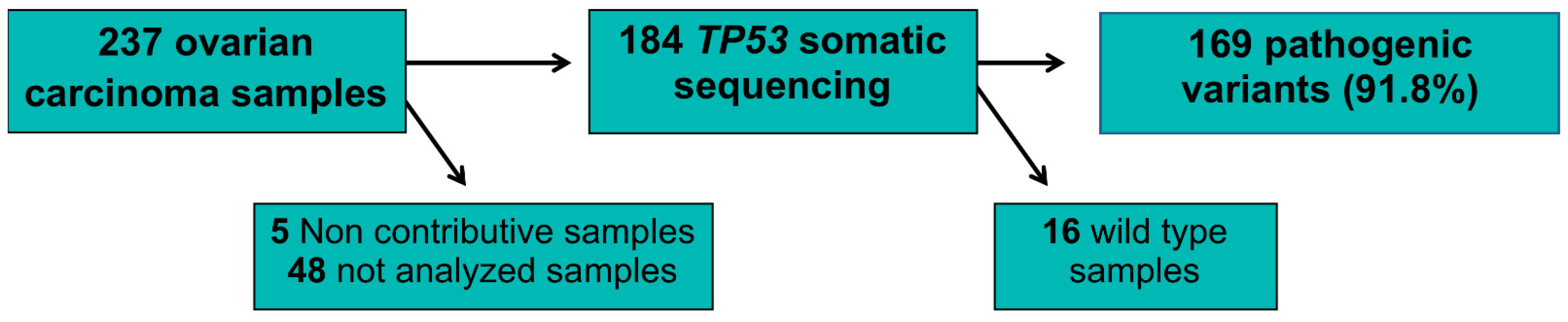 Ijms 24 11570 g002 Ijms 24 11570 g002
