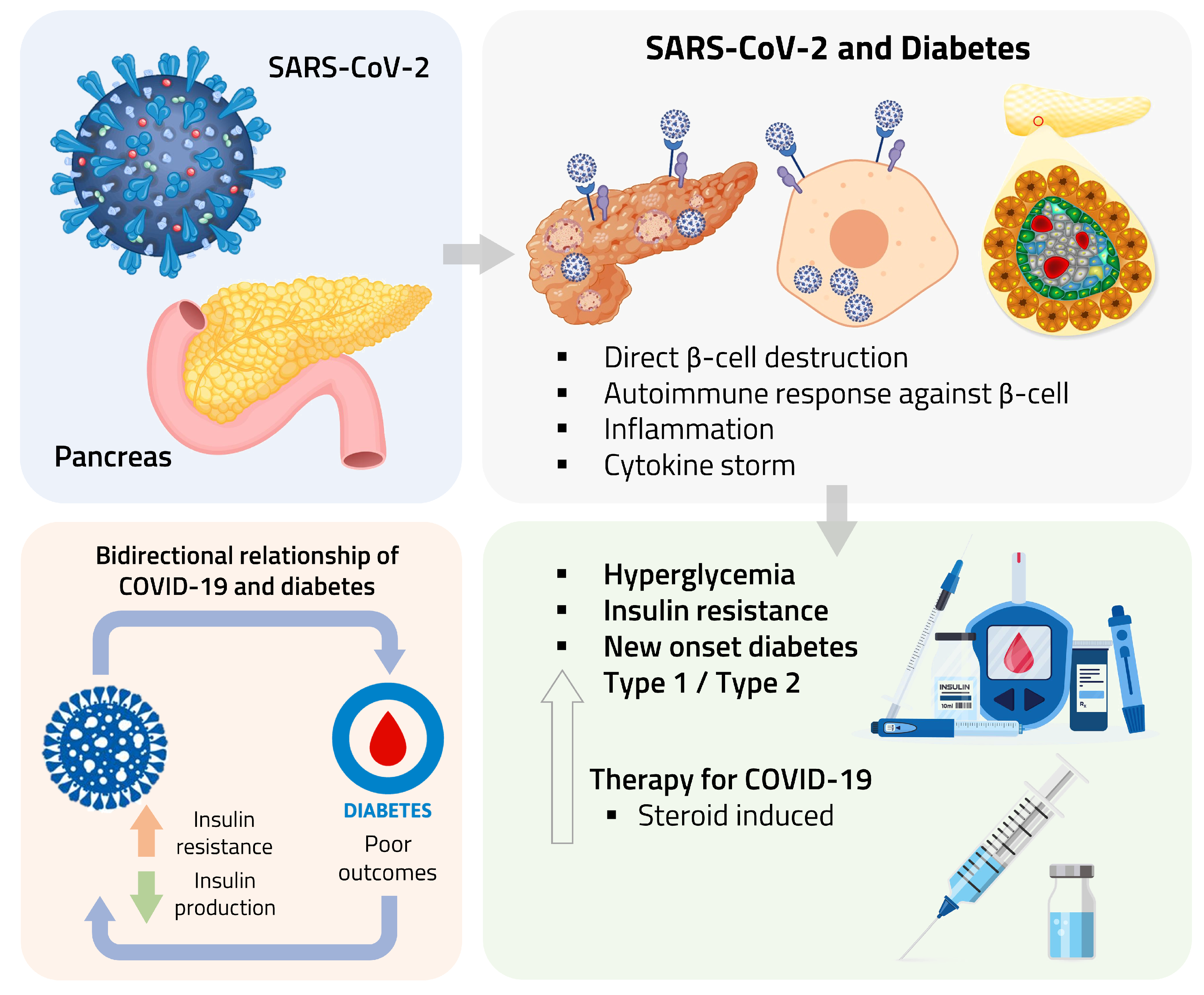 IJMS | Free Full-Text | Molecular Mechanisms Responsible for Diabetogenic  Effects of COVID-19 Infection&mdash;Induction of Autoimmune Dysregulation  and Metabolic Disturbances