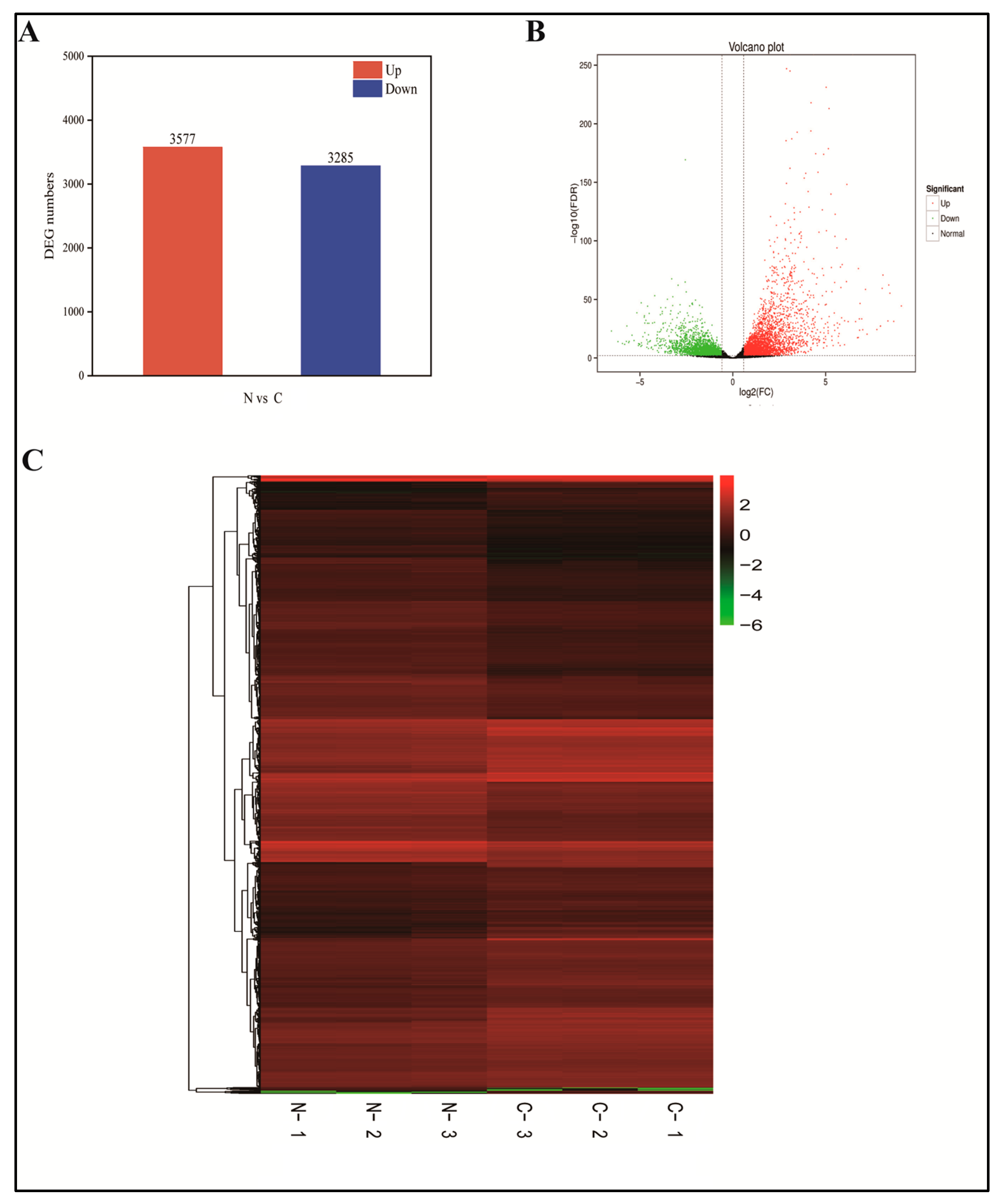 Ijms 24 11590 g005 Ijms 24 11590 g005