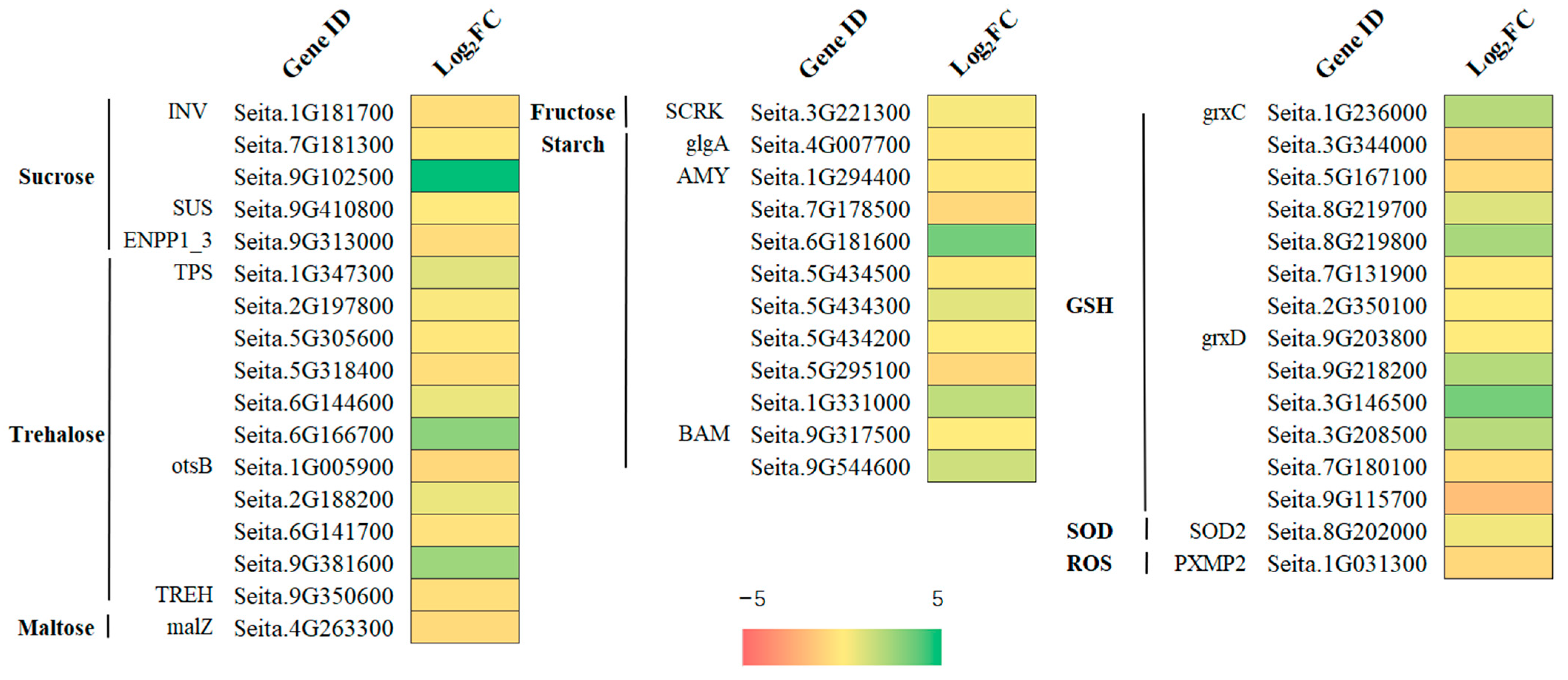 Ijms 24 11590 g007 Ijms 24 11590 g007