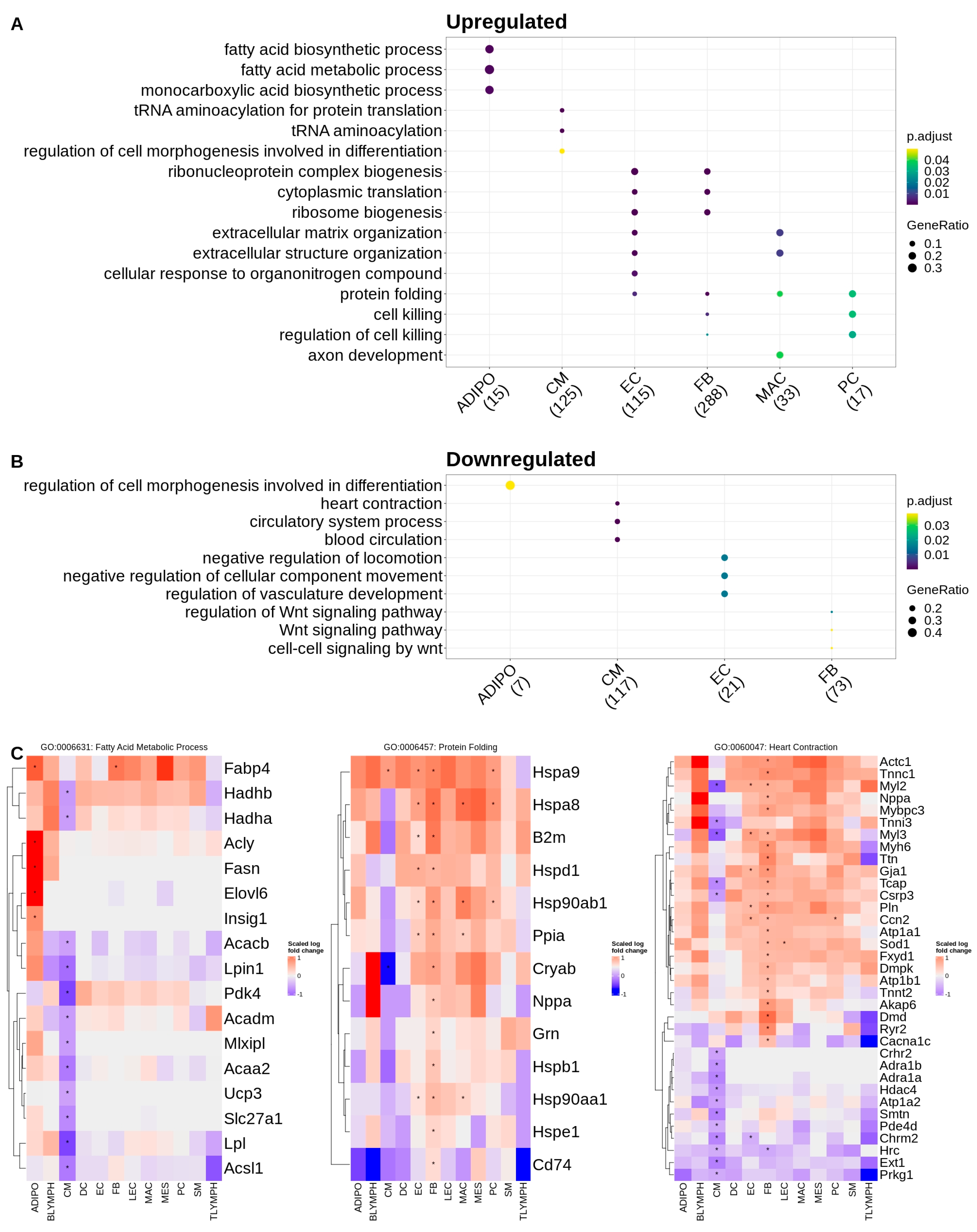 Ijms 24 11594 g002 Ijms 24 11594 g002