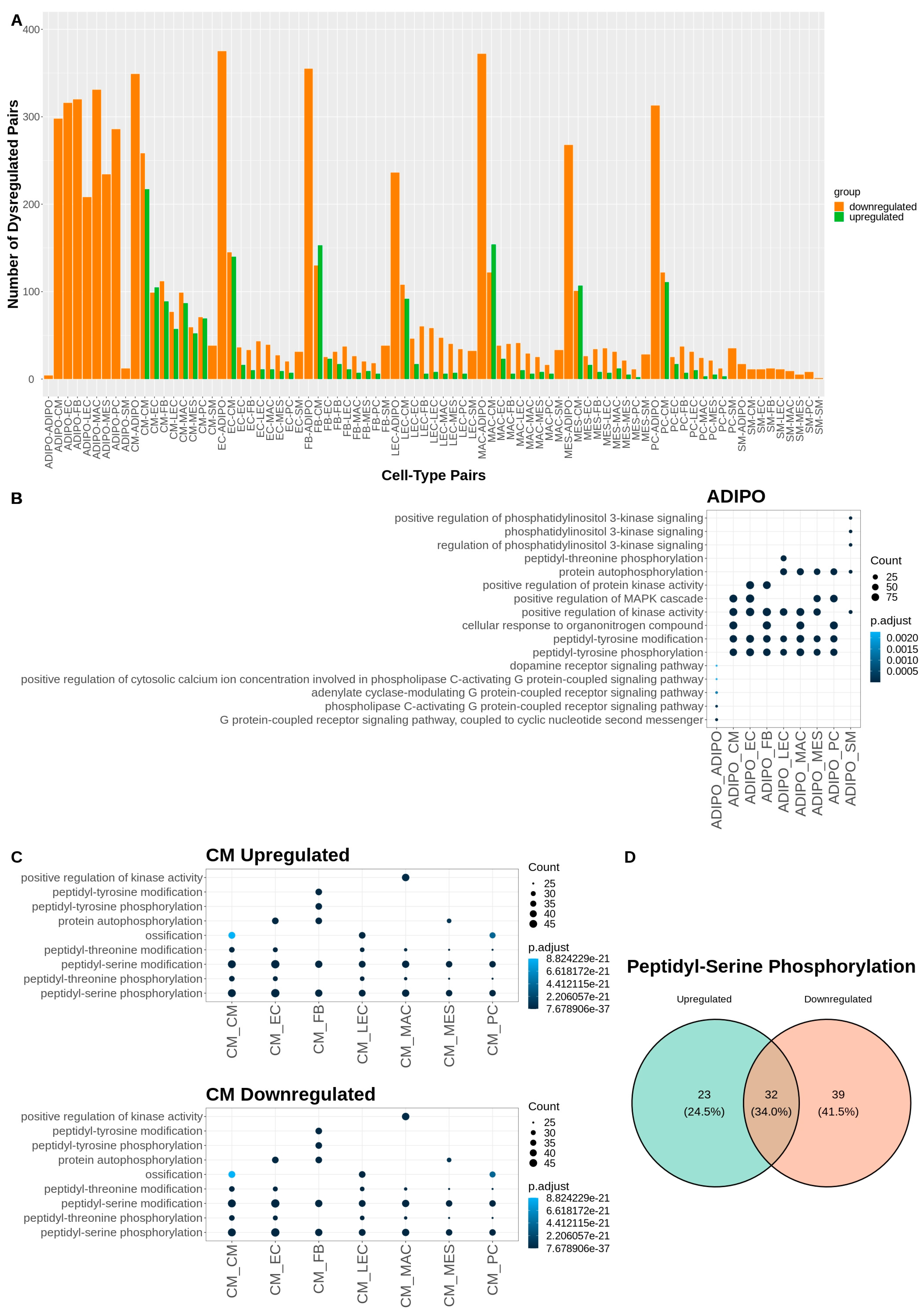 Ijms 24 11594 g004 Ijms 24 11594 g004