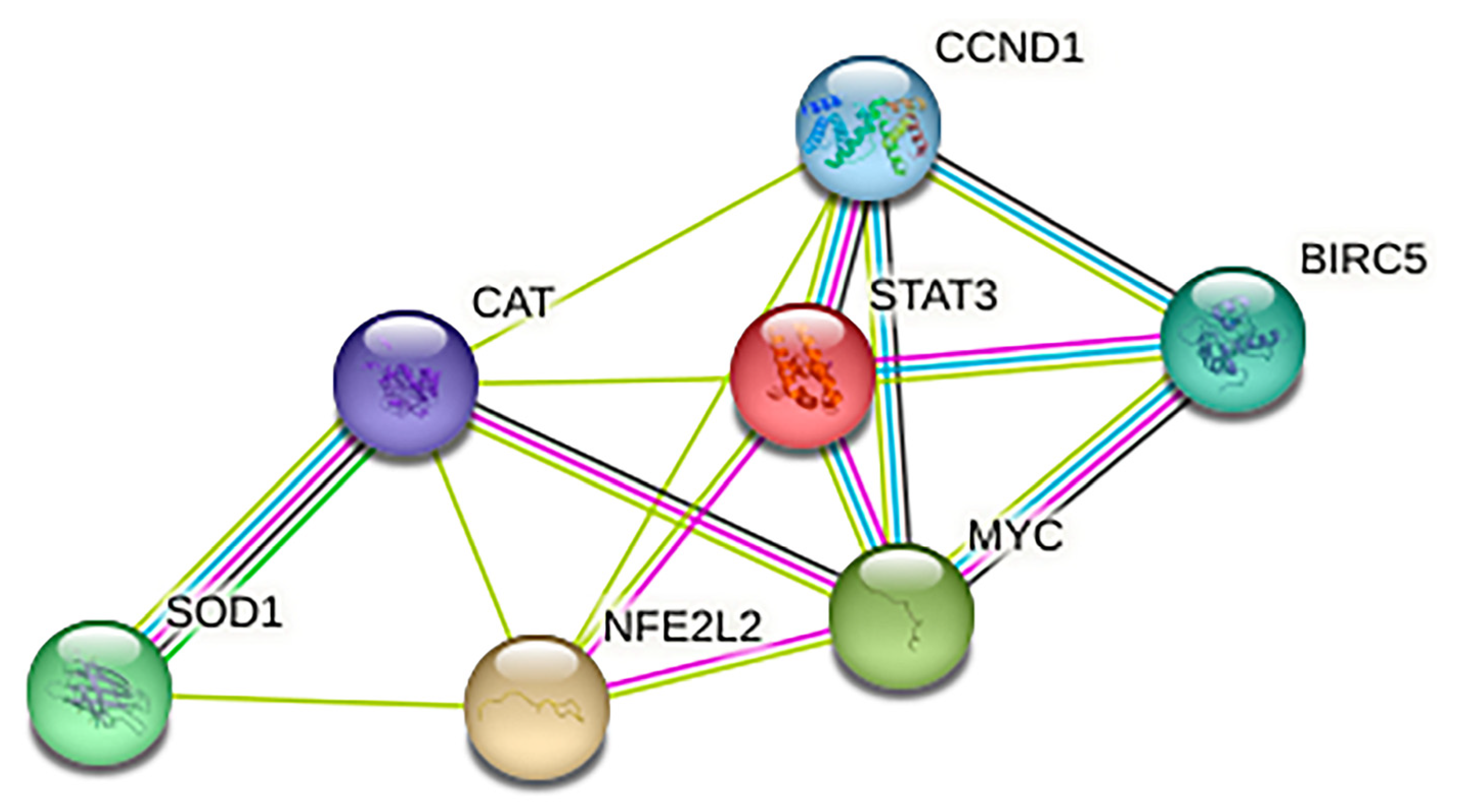 IJMS Free FullText NFE2L2 and STAT3 Converge on Common Targets to