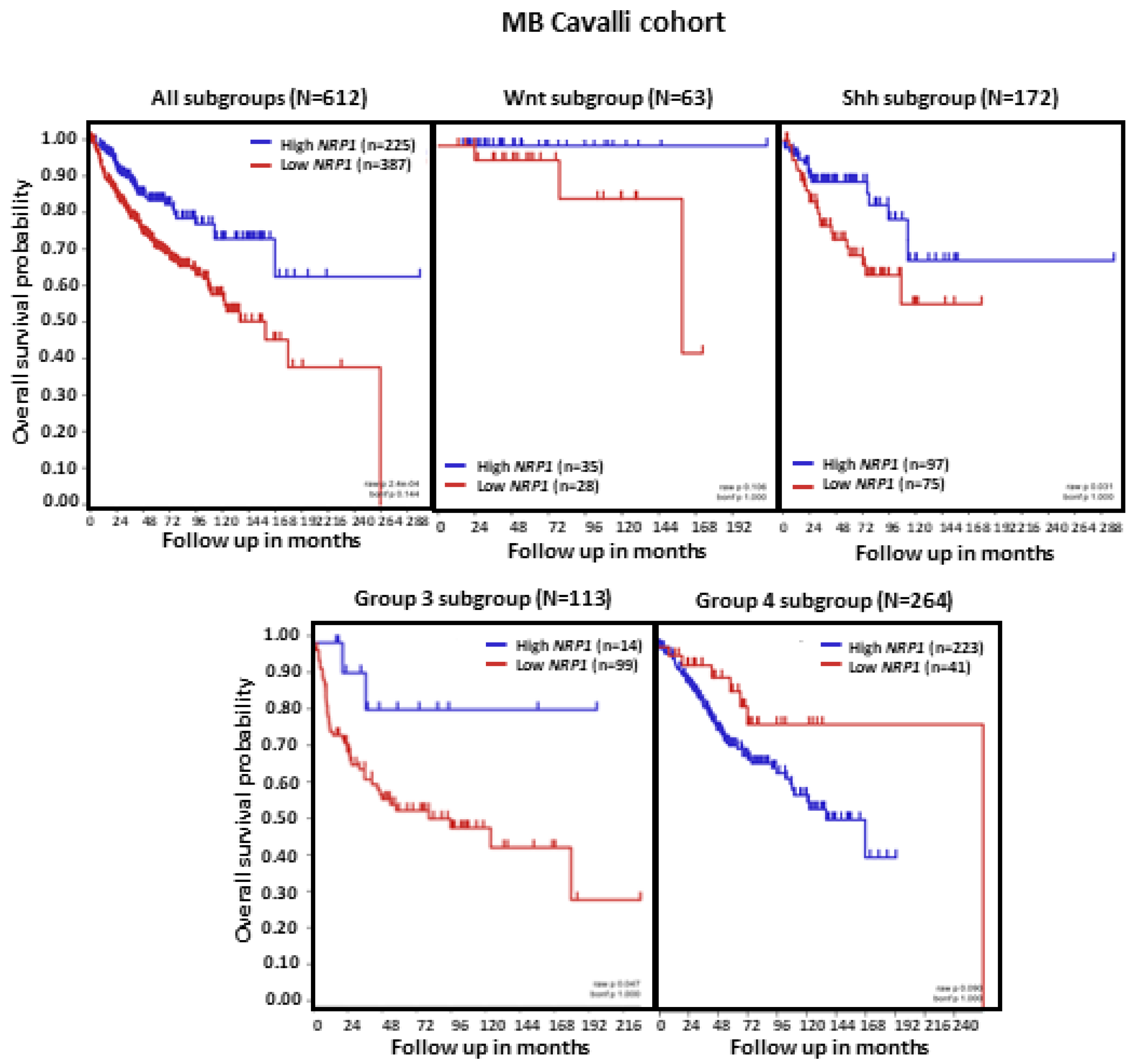 Ijms 24 11601 g003 Ijms 24 11601 g003