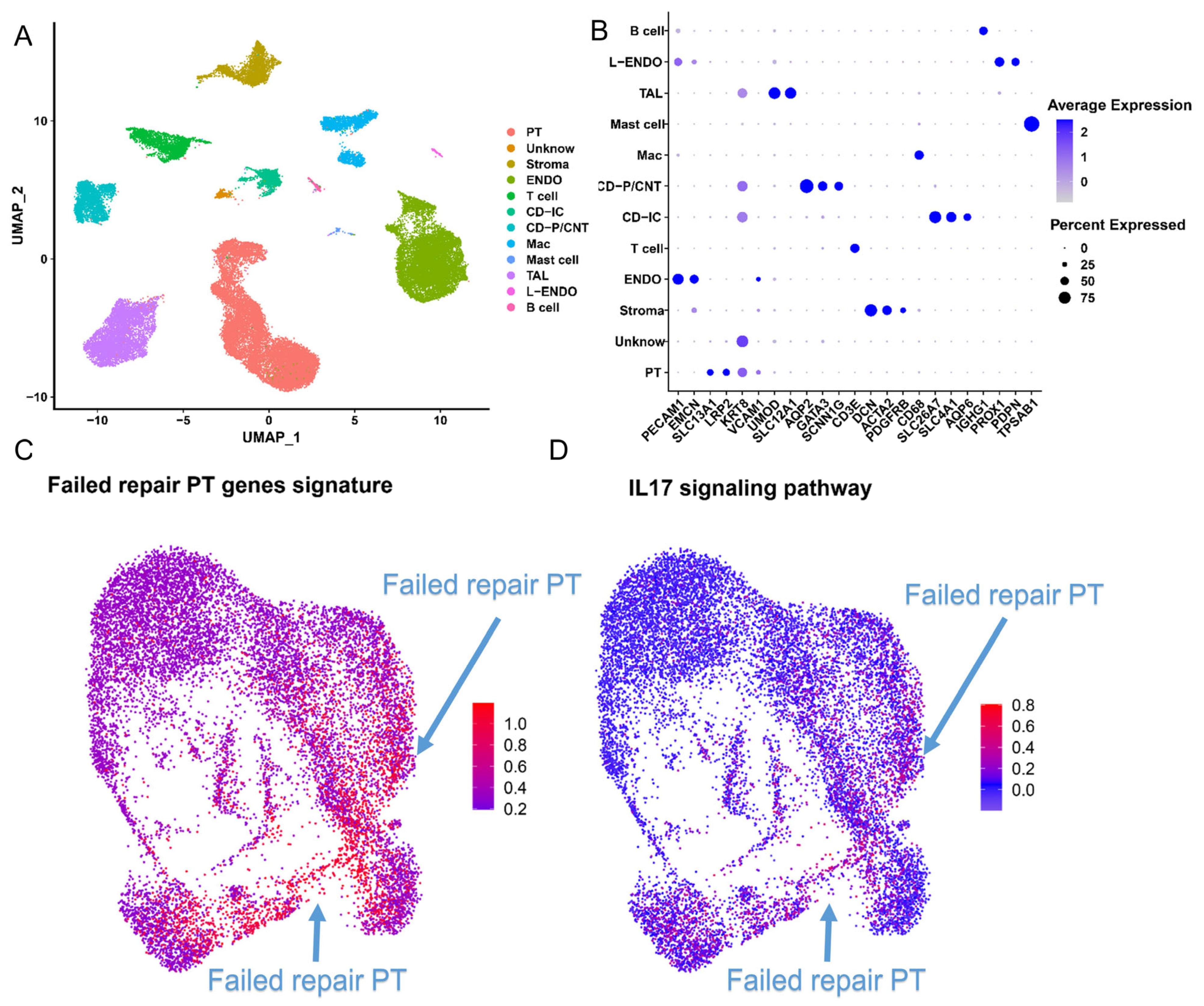 Ijms 24 11617 g006 Ijms 24 11617 g006
