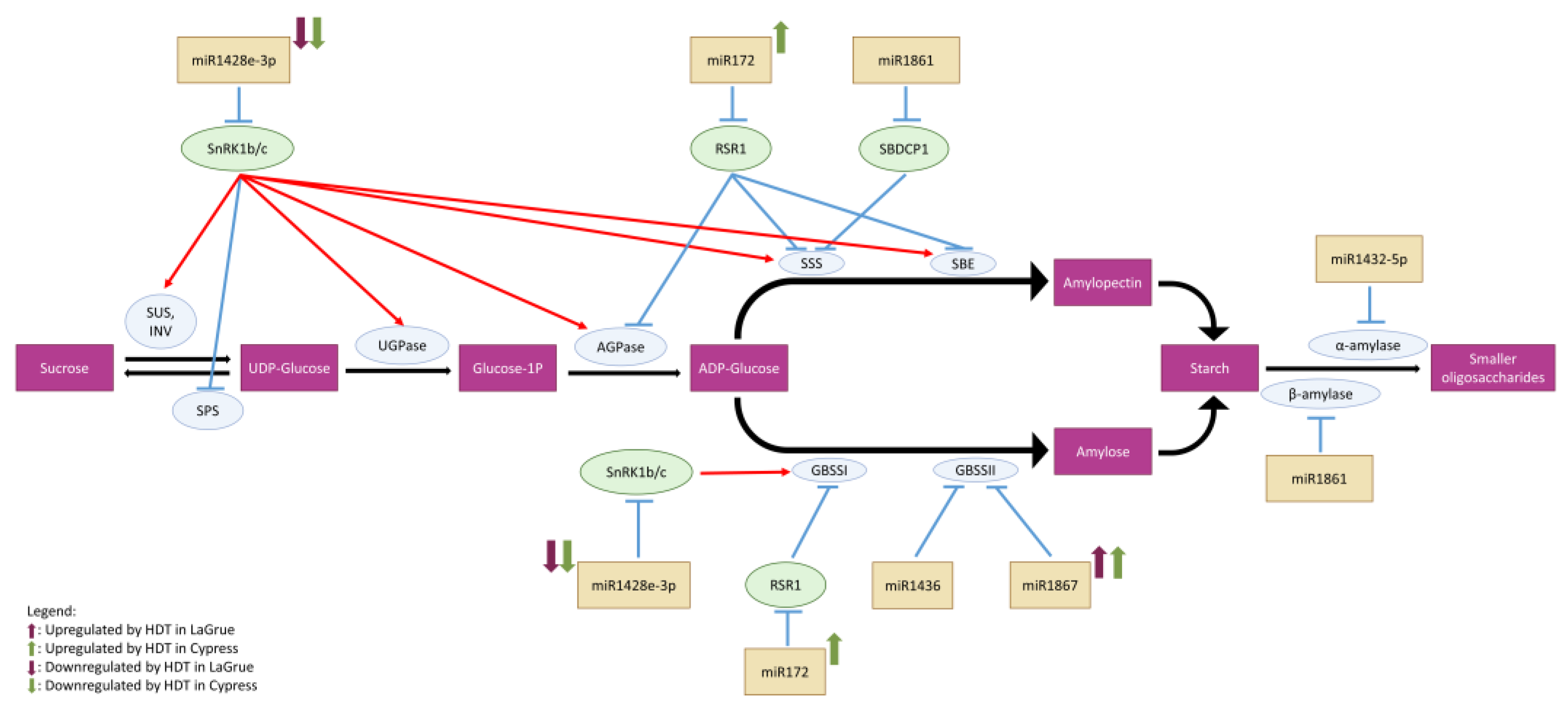 Ijms 24 11631 g006 Ijms 24 11631 g006