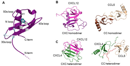 https://www.mdpi.com/ijms/ijms-24-11639/article_deploy/html/images/ijms-24-11639-g001-550.jpg