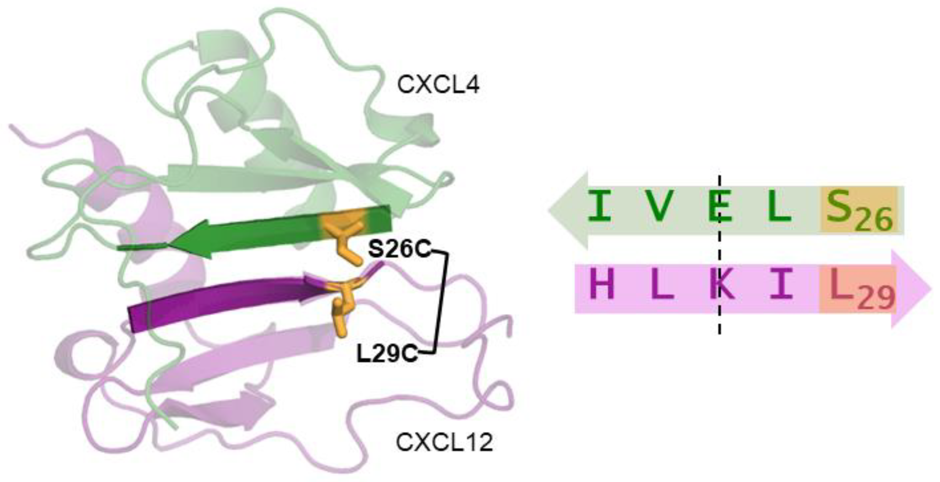 Ijms 24 11639 g002 Ijms 24 11639 g002