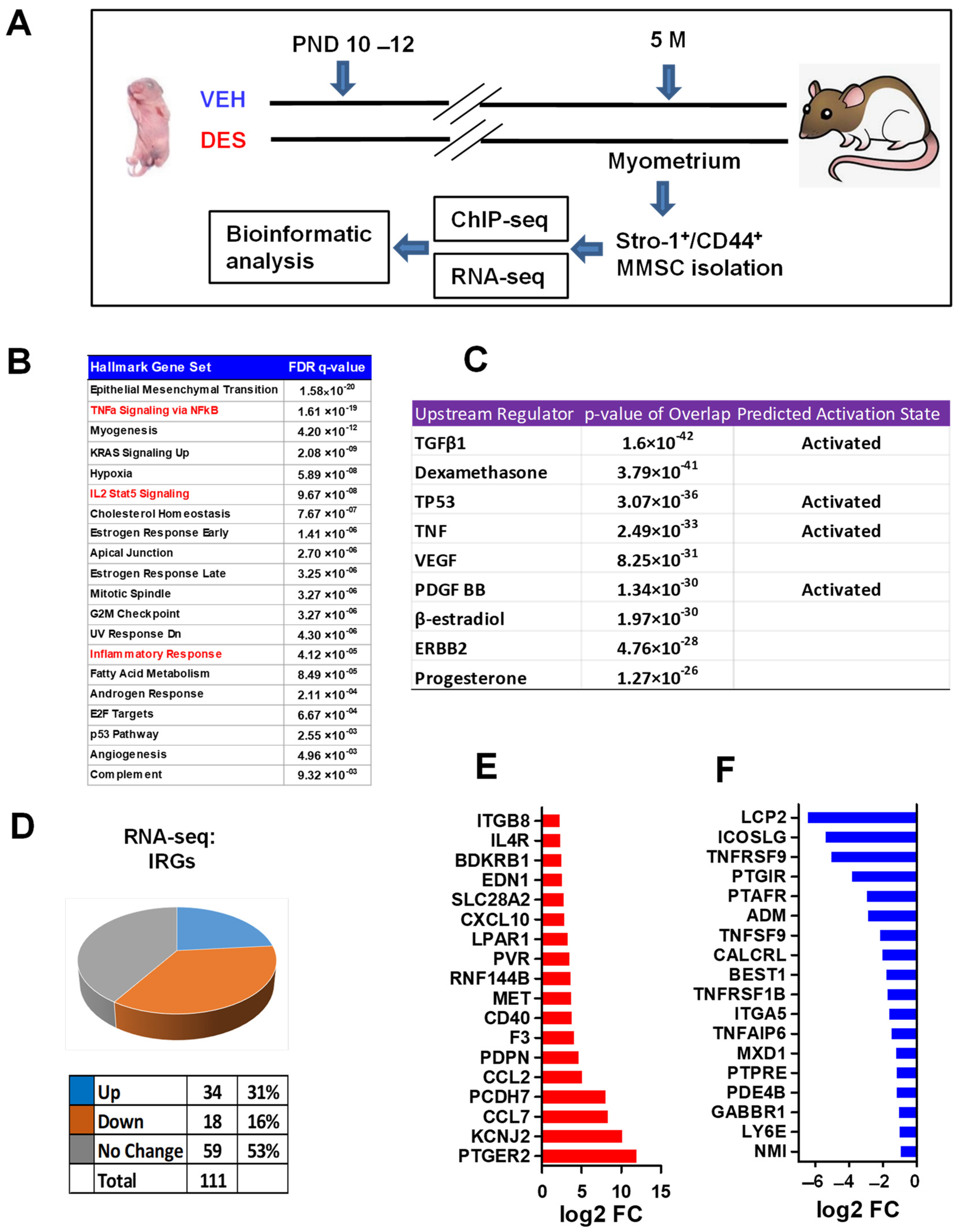 Ijms 24 11641 g001 Ijms 24 11641 g001