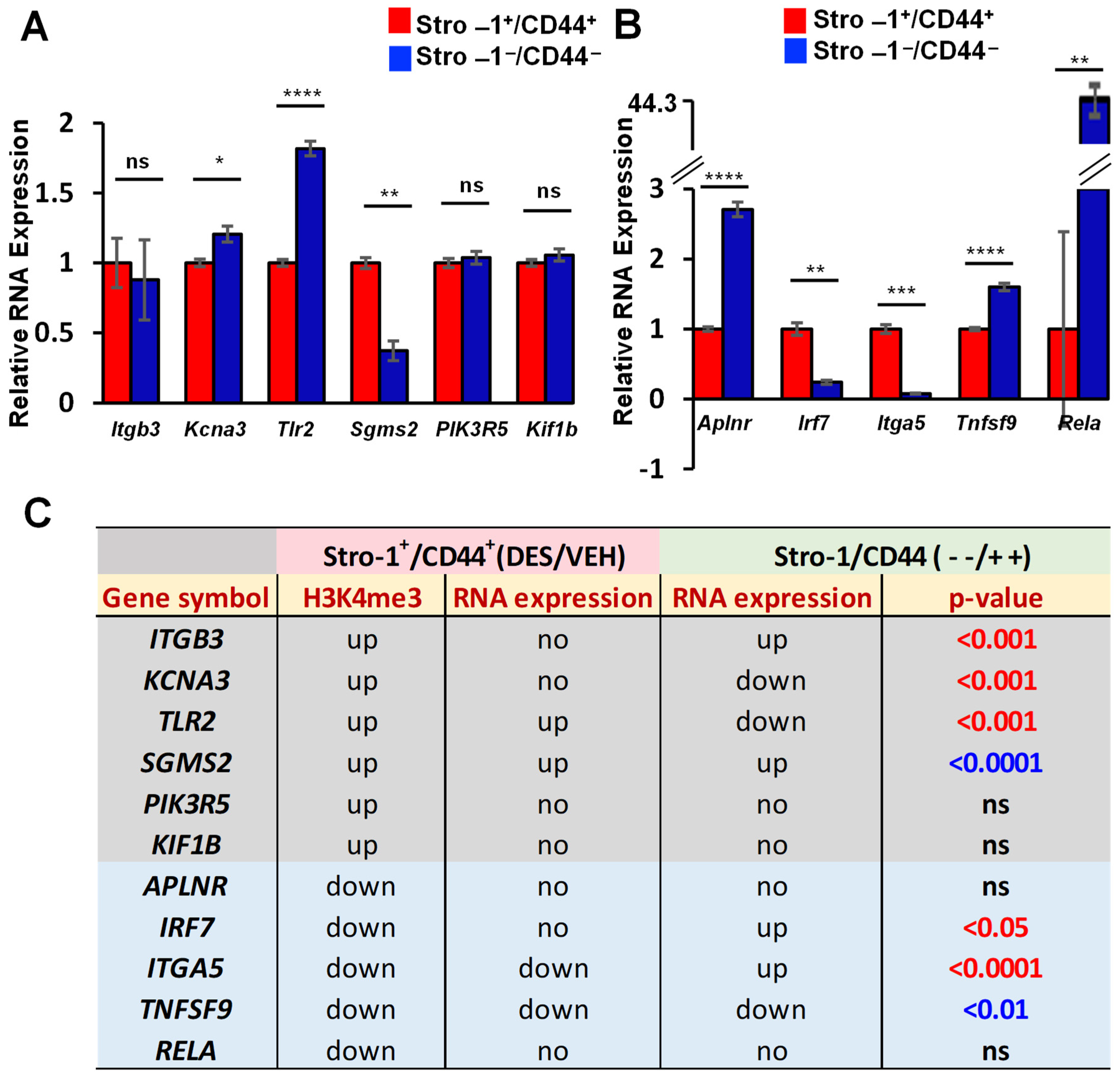 Ijms 24 11641 g004 Ijms 24 11641 g004
