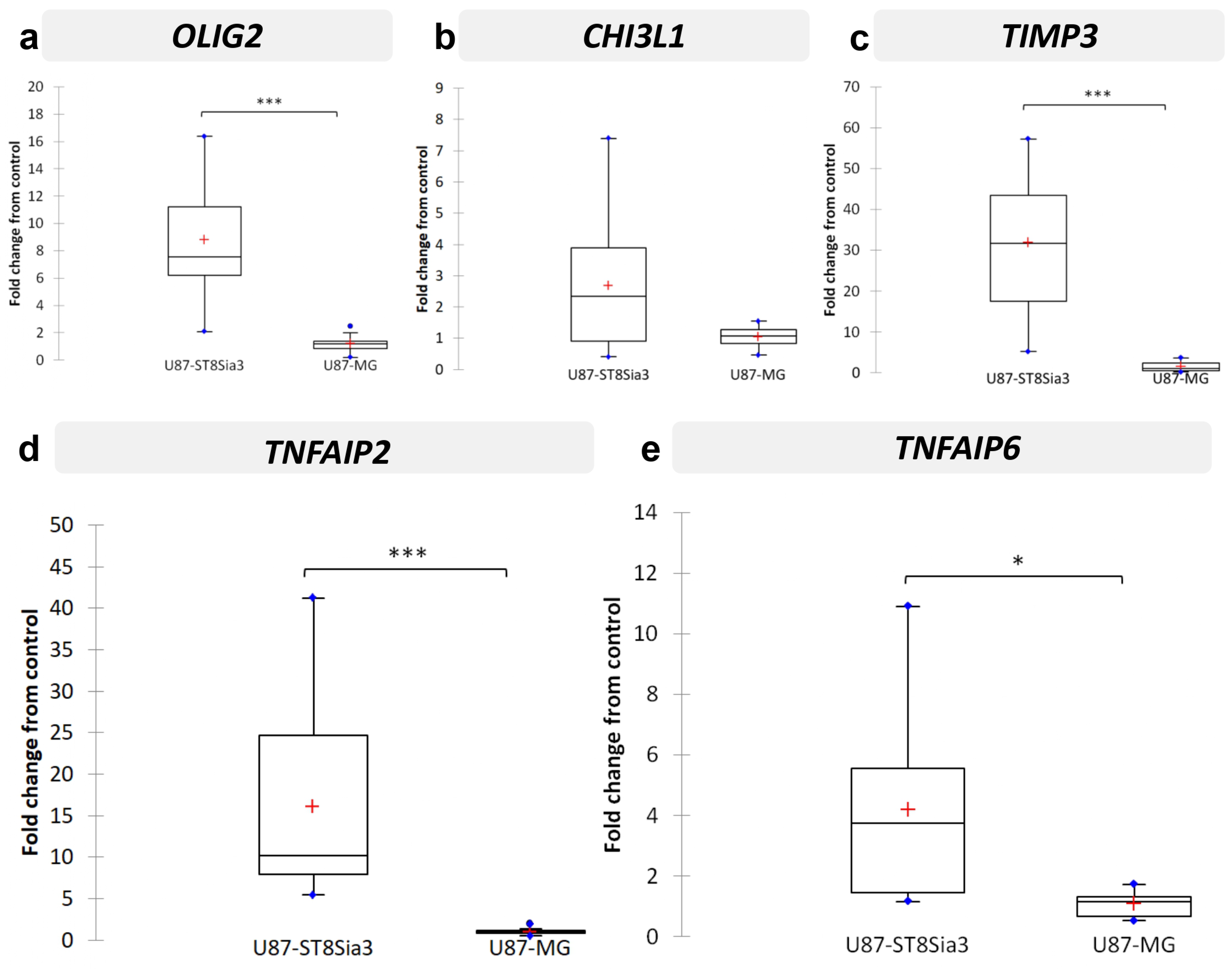 Ijms 24 11645 g004 Ijms 24 11645 g004