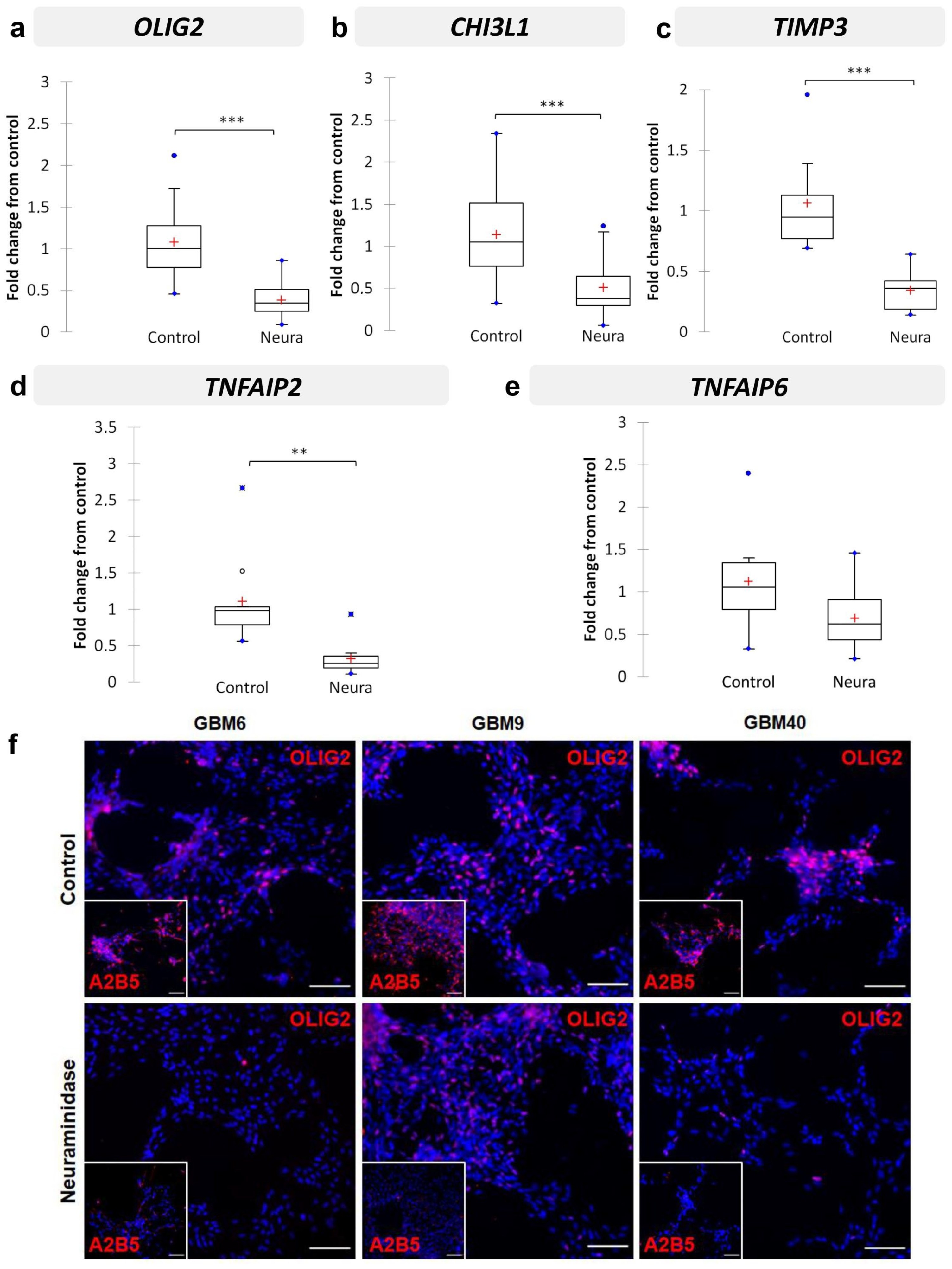 Ijms 24 11645 g005 Ijms 24 11645 g005