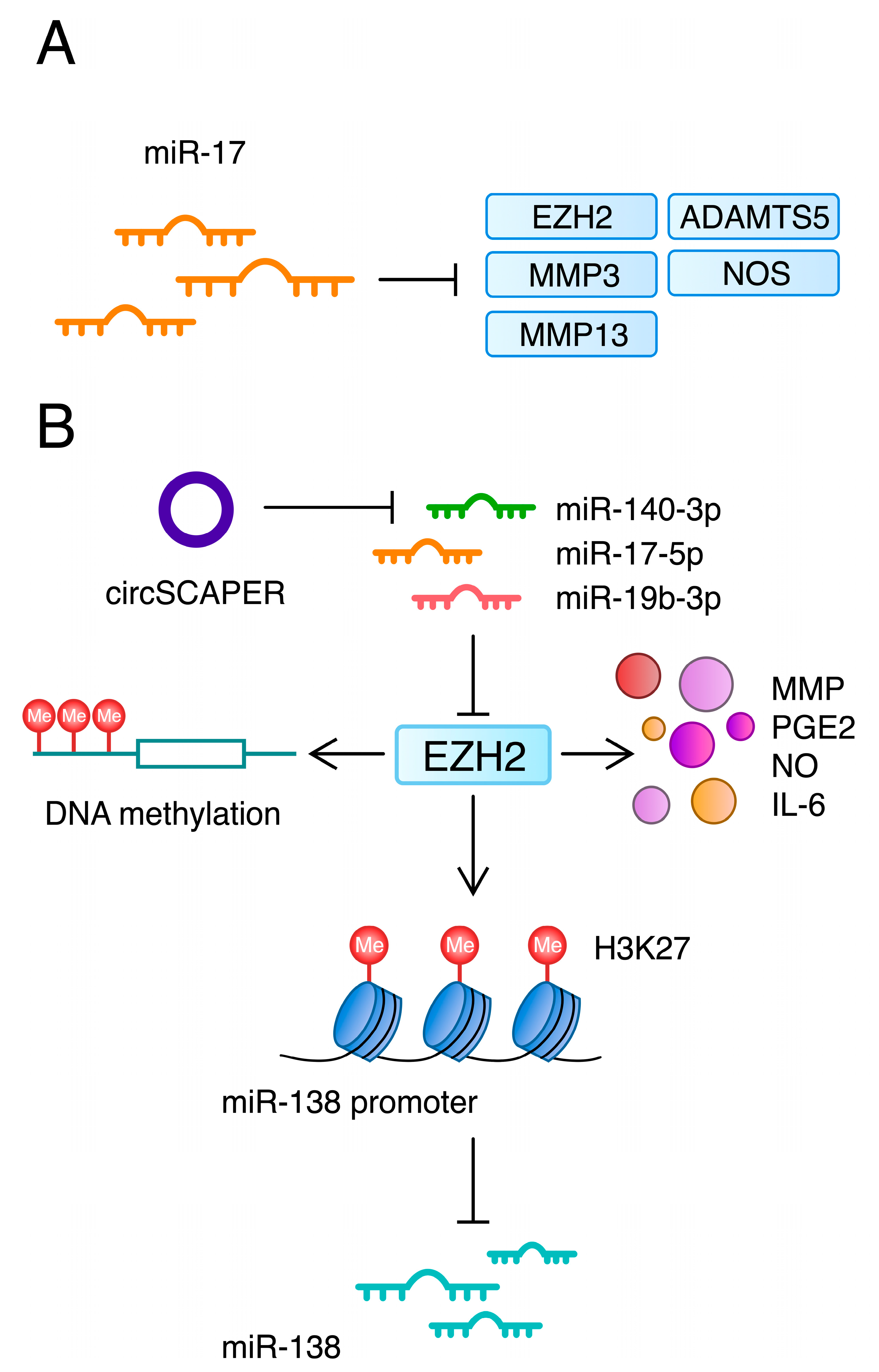 Ijms 24 11655 g006 Ijms 24 11655 g006