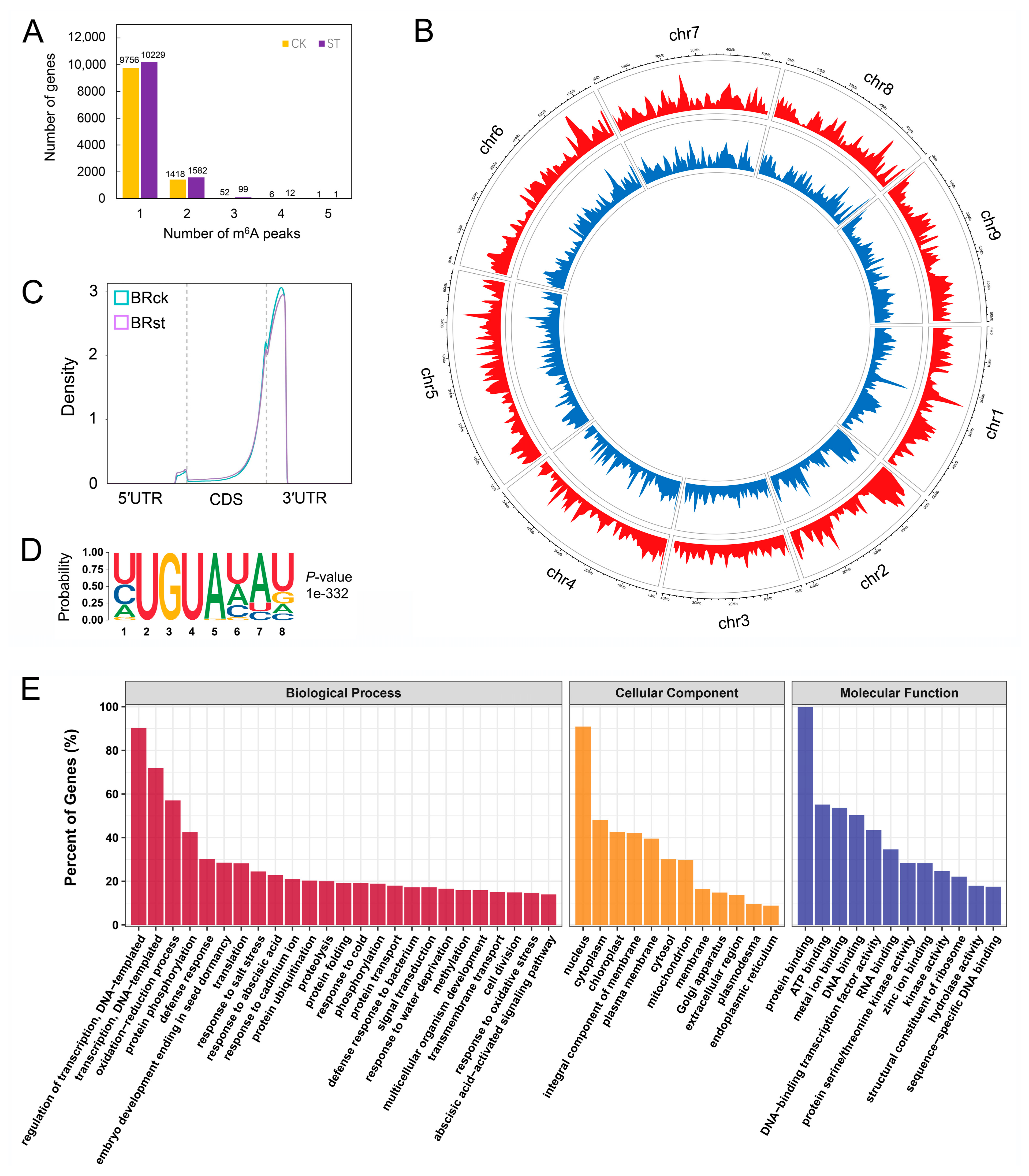 Ijms 24 11659 g002 Ijms 24 11659 g002