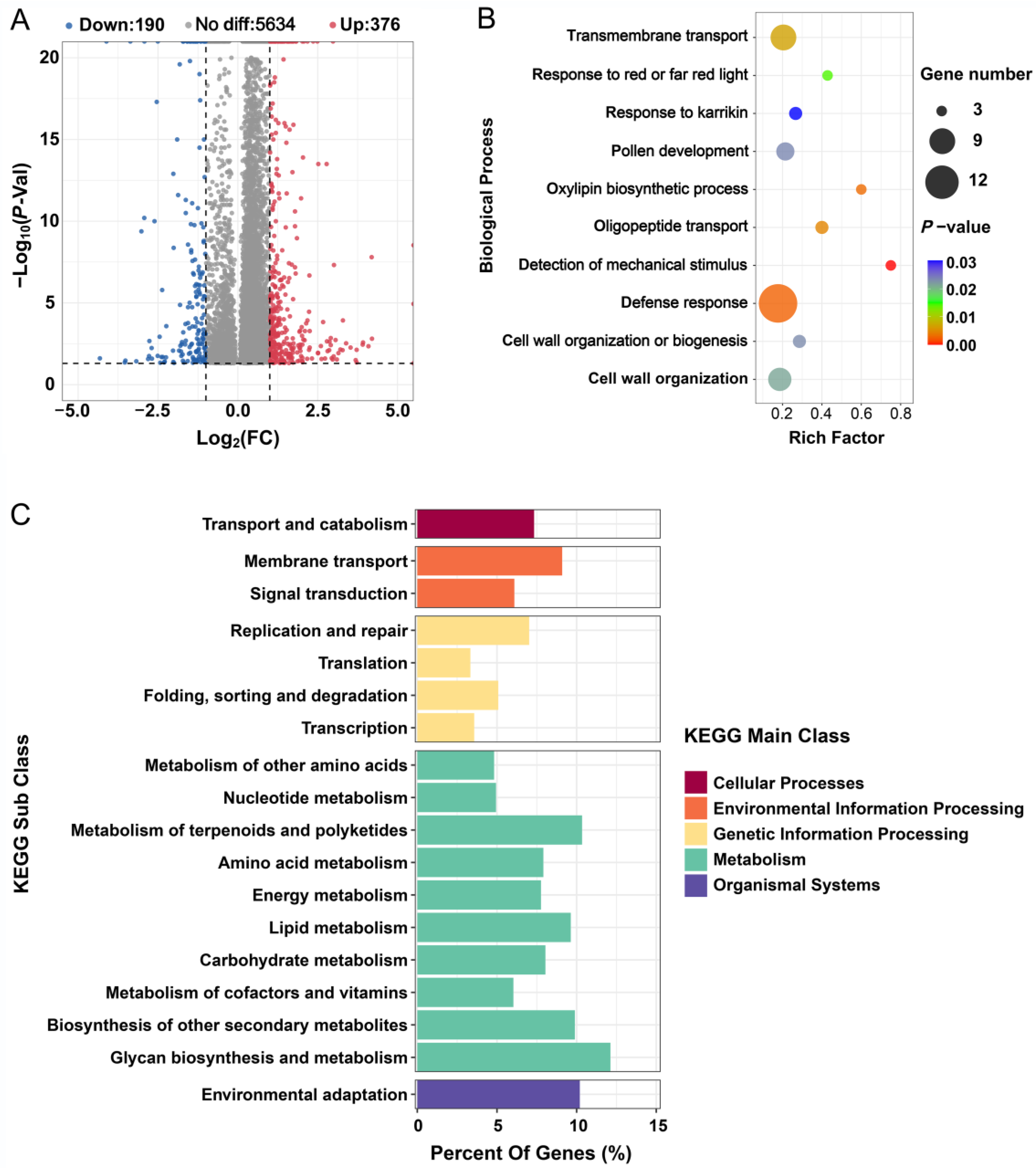 Ijms 24 11659 g003 Ijms 24 11659 g003