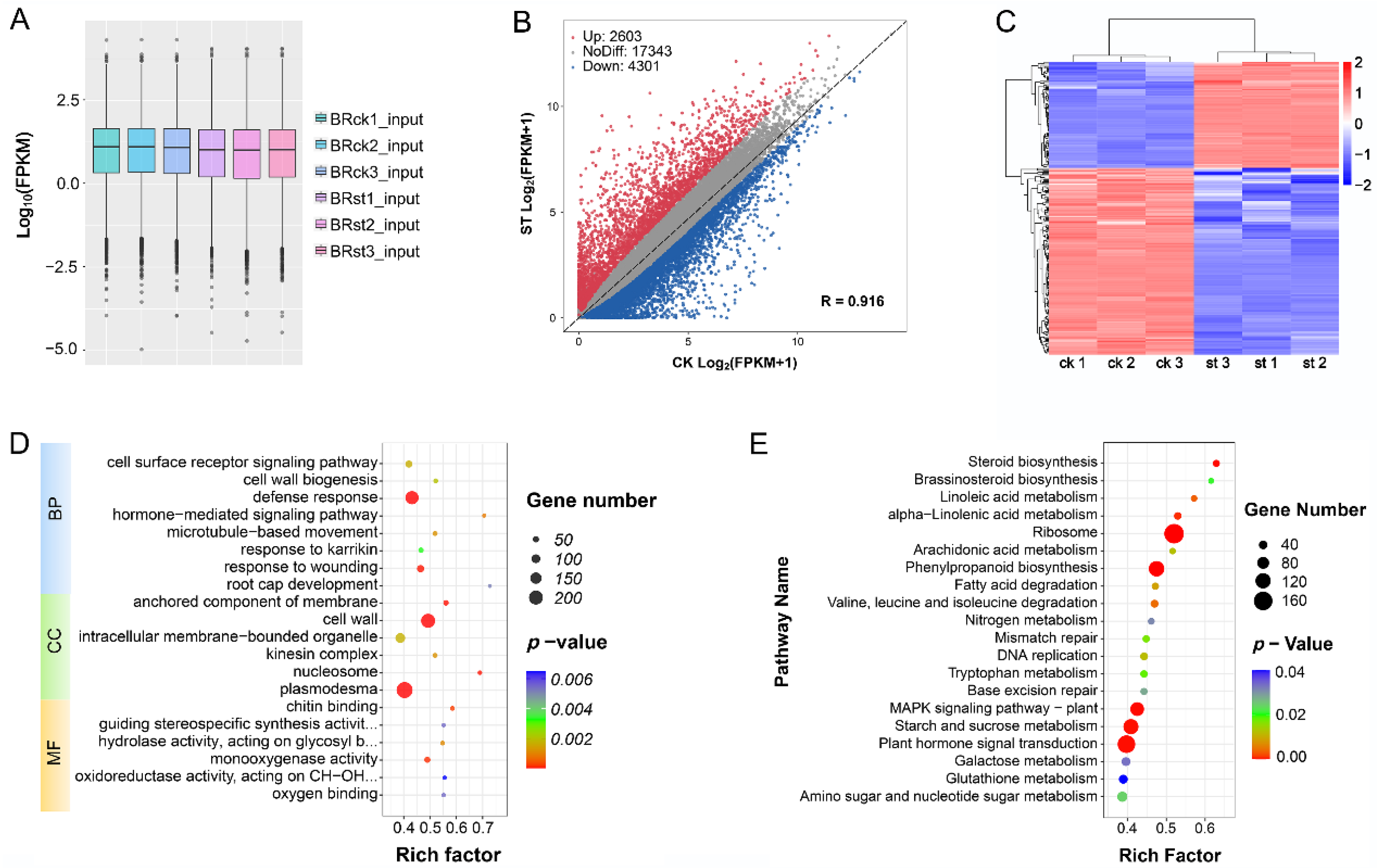 Ijms 24 11659 g004 Ijms 24 11659 g004