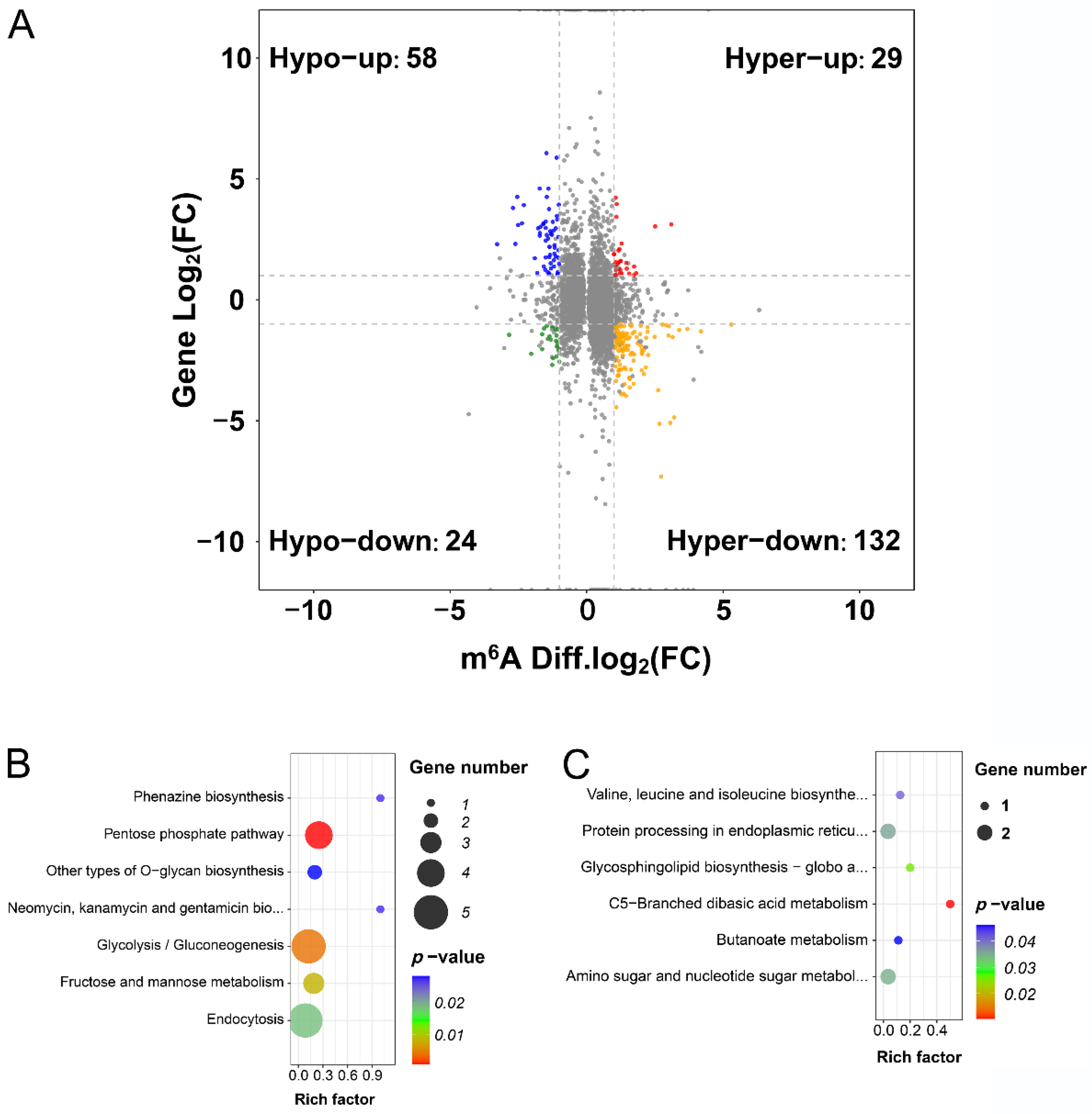 Ijms 24 11659 g005 Ijms 24 11659 g005