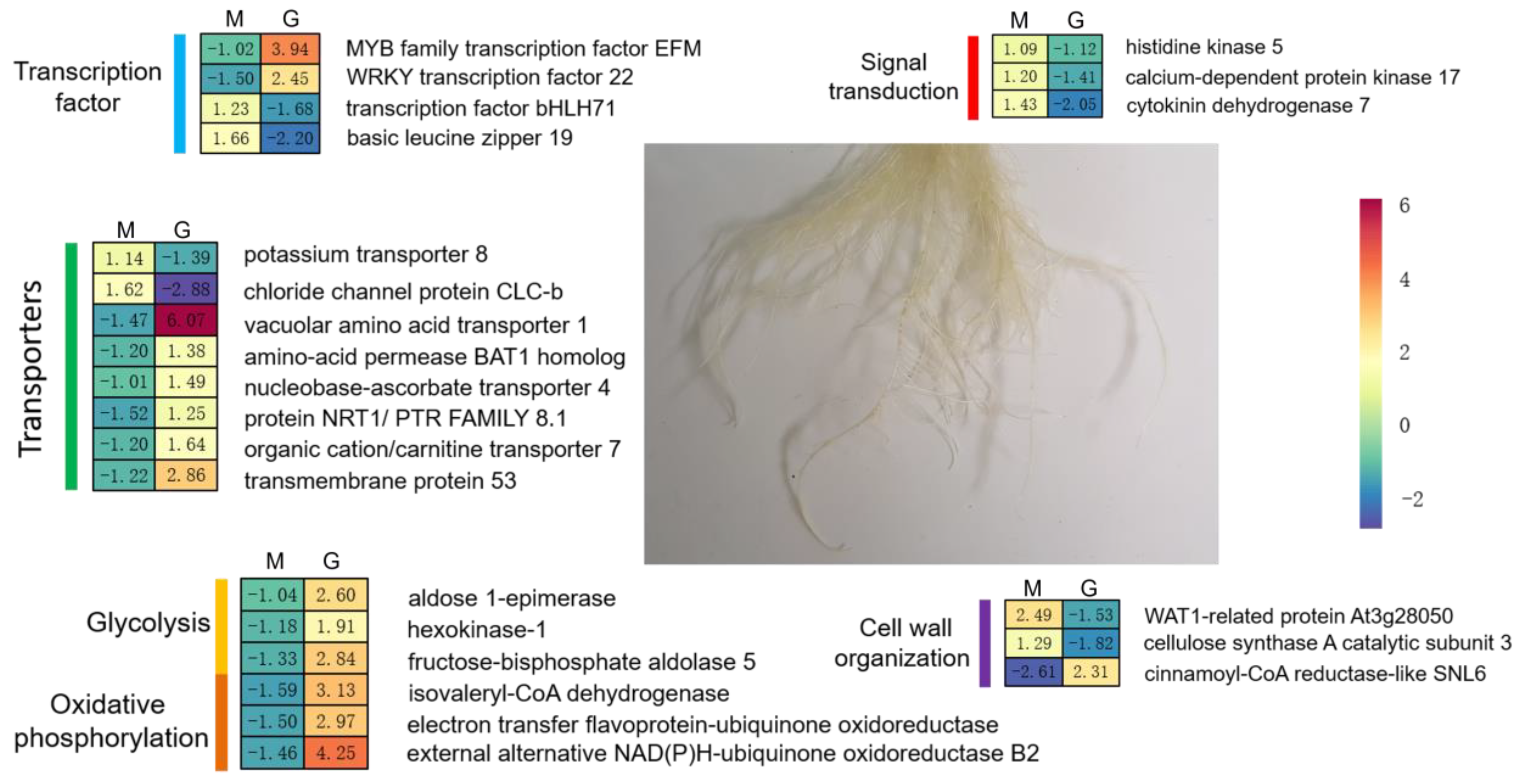 Ijms 24 11659 g008 Ijms 24 11659 g008