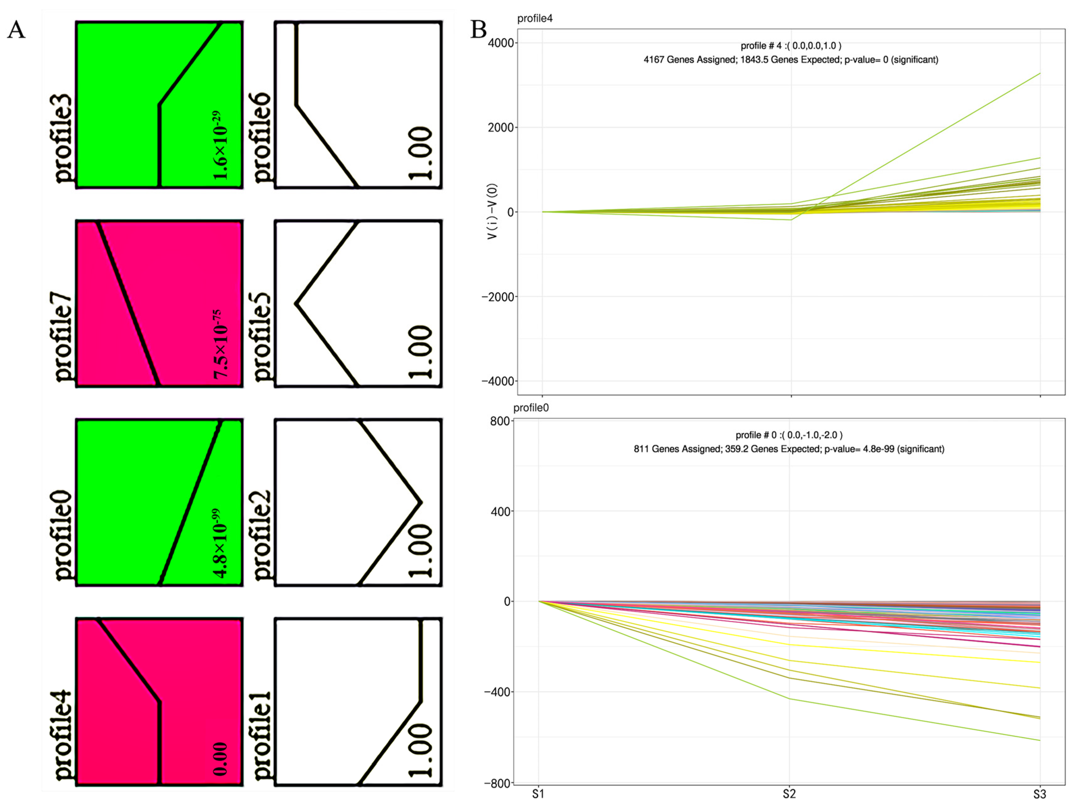 Ijms 24 11666 g002 Ijms 24 11666 g002